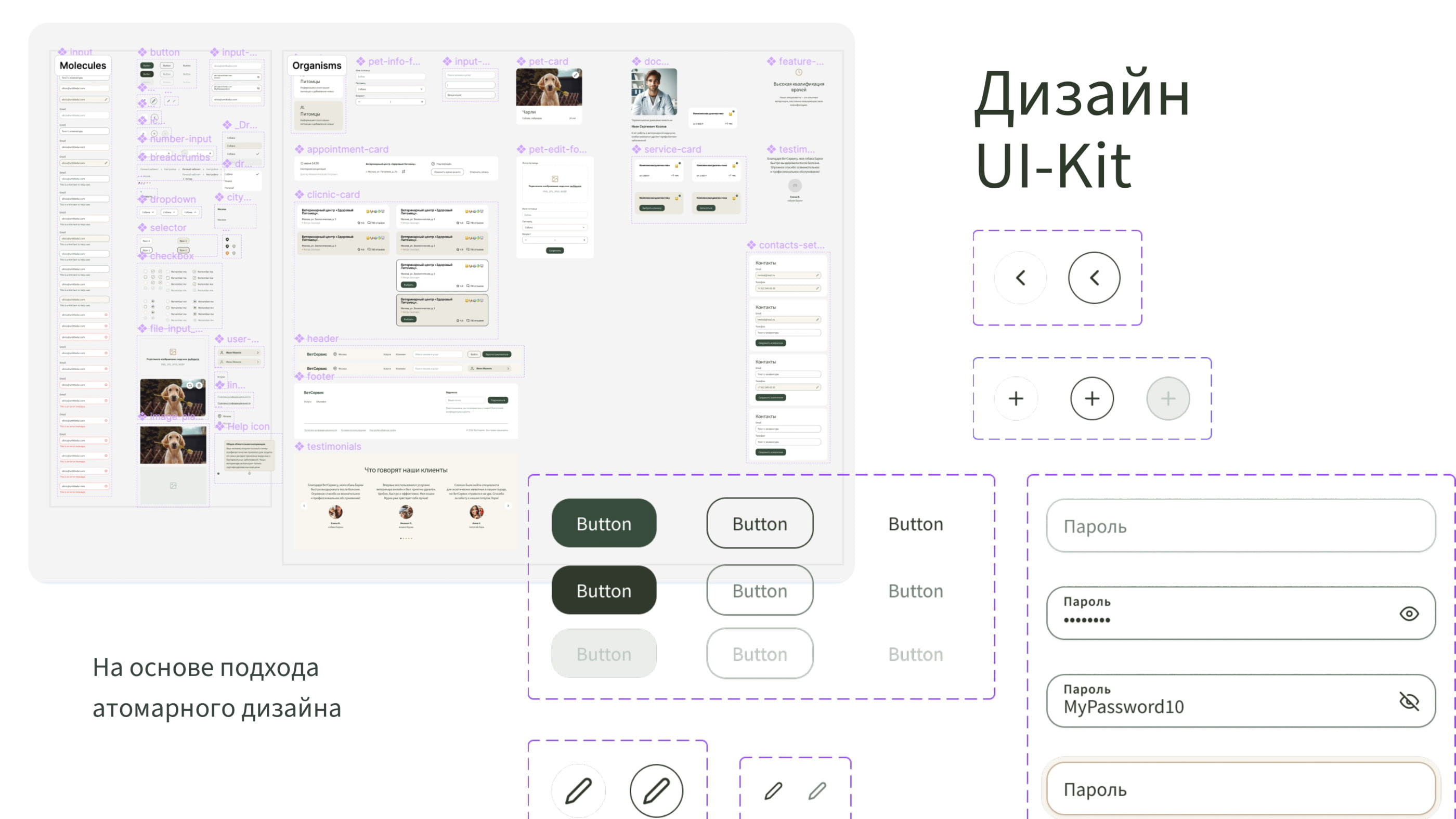 Дизайн сайта-агрегатора ветклиник — Изображение №12 — Интерфейсы на Dprofile