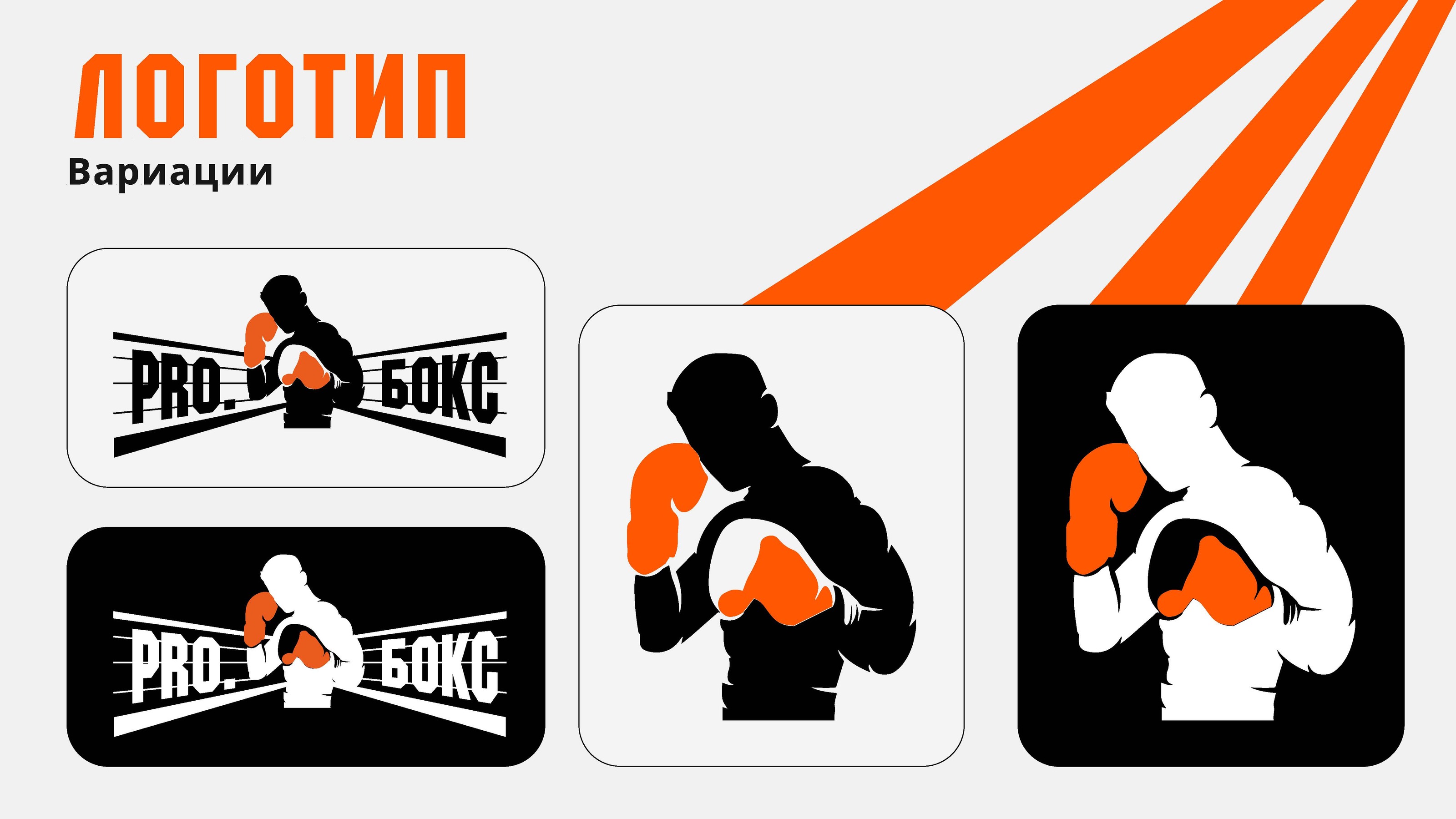 ПРО БОКС — Изображение №3 — Брендинг на Dprofile