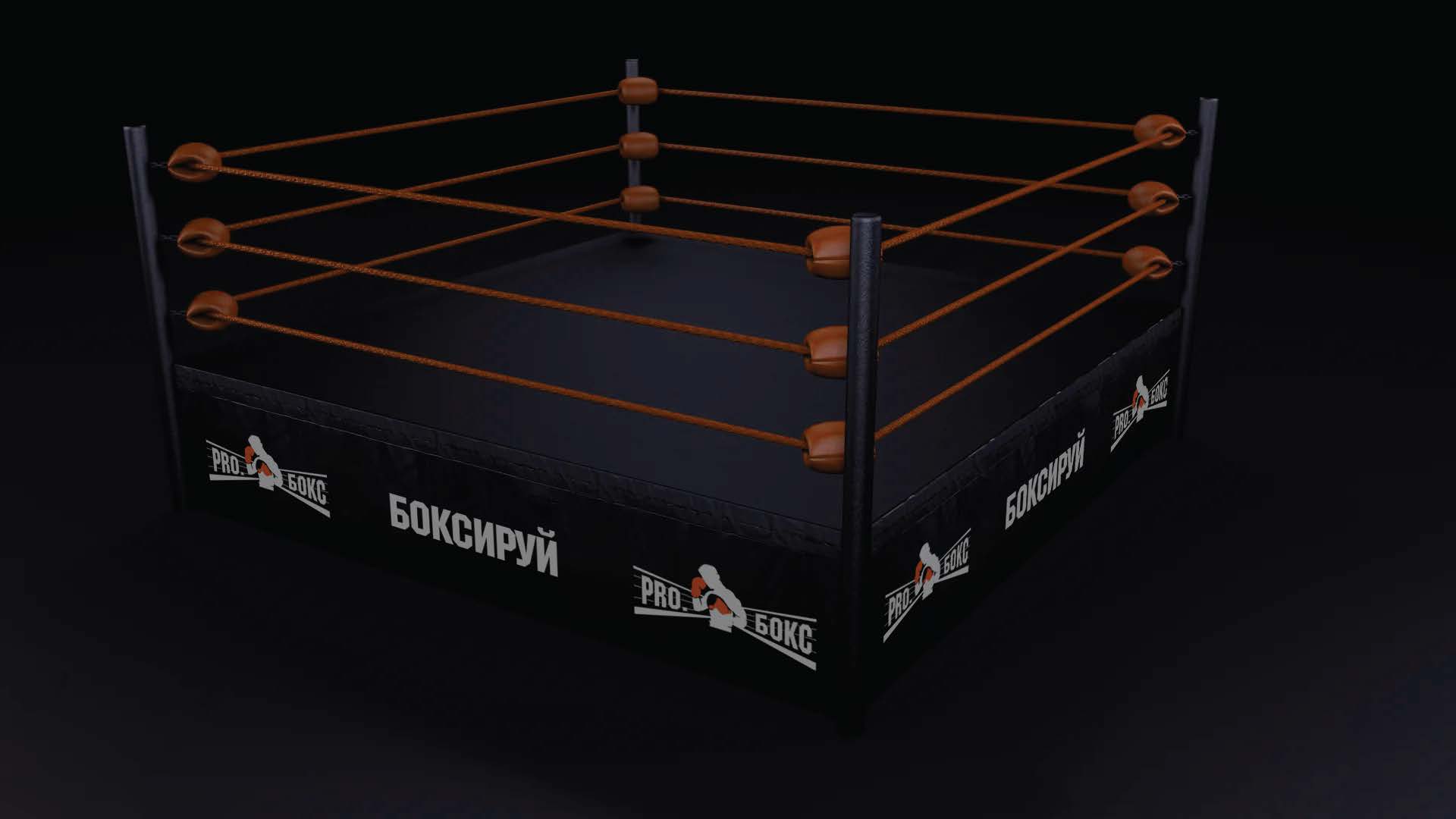 ПРО БОКС — Изображение №11 — Брендинг на Dprofile