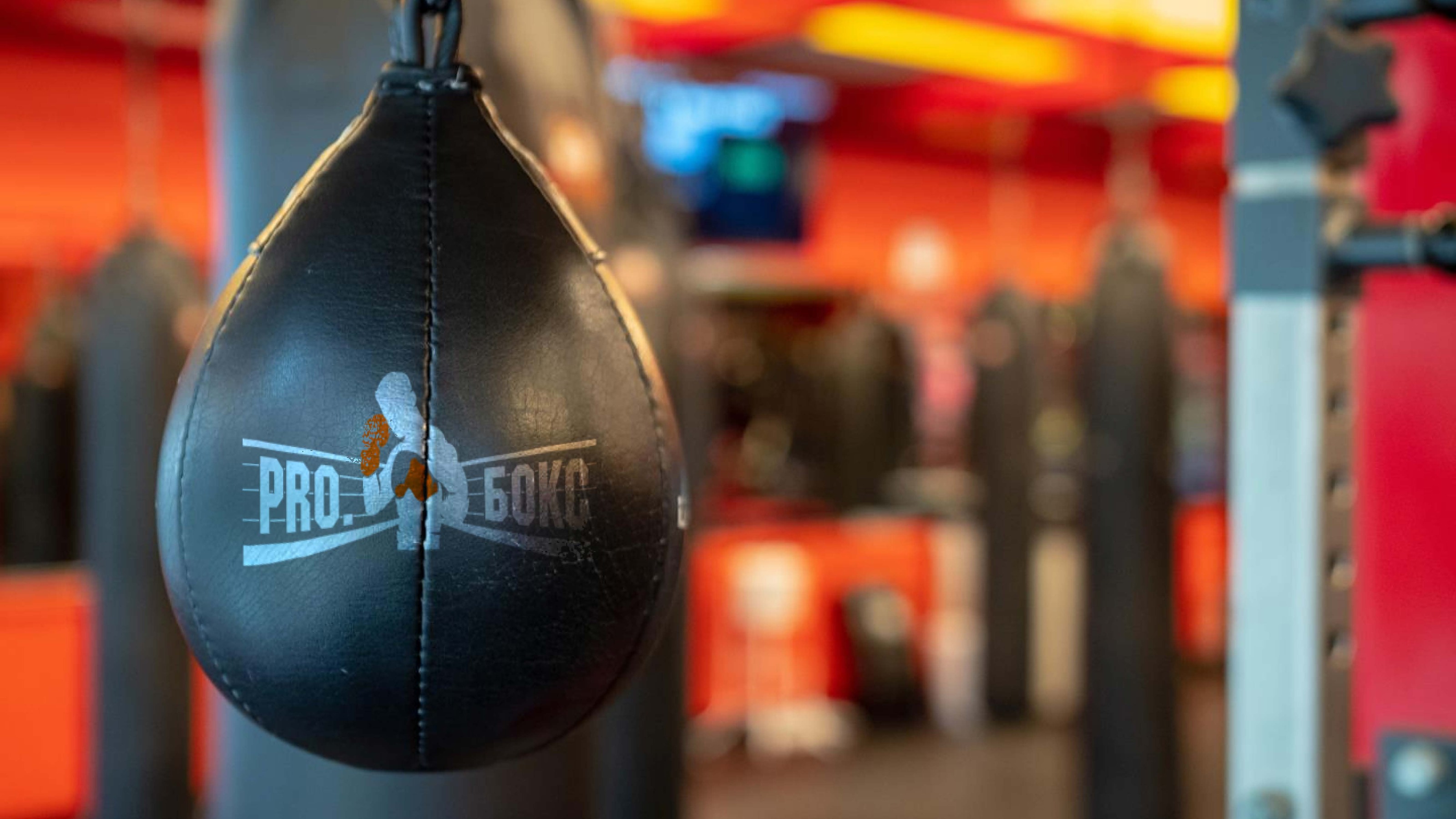 ПРО БОКС — Изображение №12 — Брендинг на Dprofile