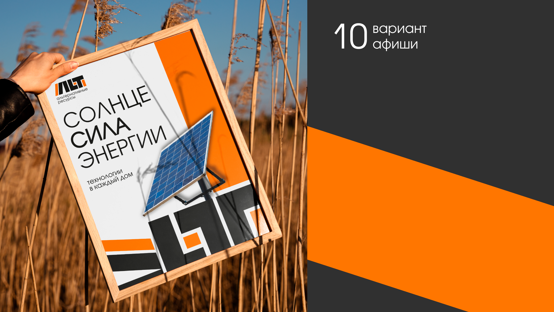 ALT - альтернативные ресурсы — Изображение №11 — Брендинг, Графика на Dprofile