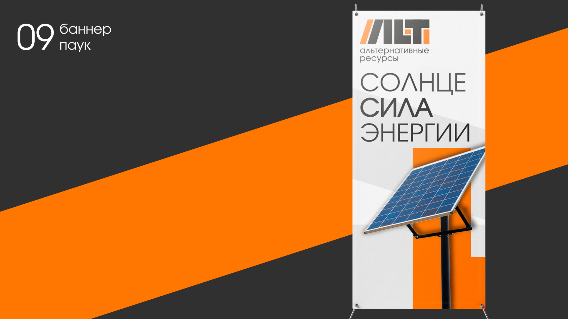 ALT - альтернативные ресурсы — Изображение №10 — Брендинг, Графика на Dprofile