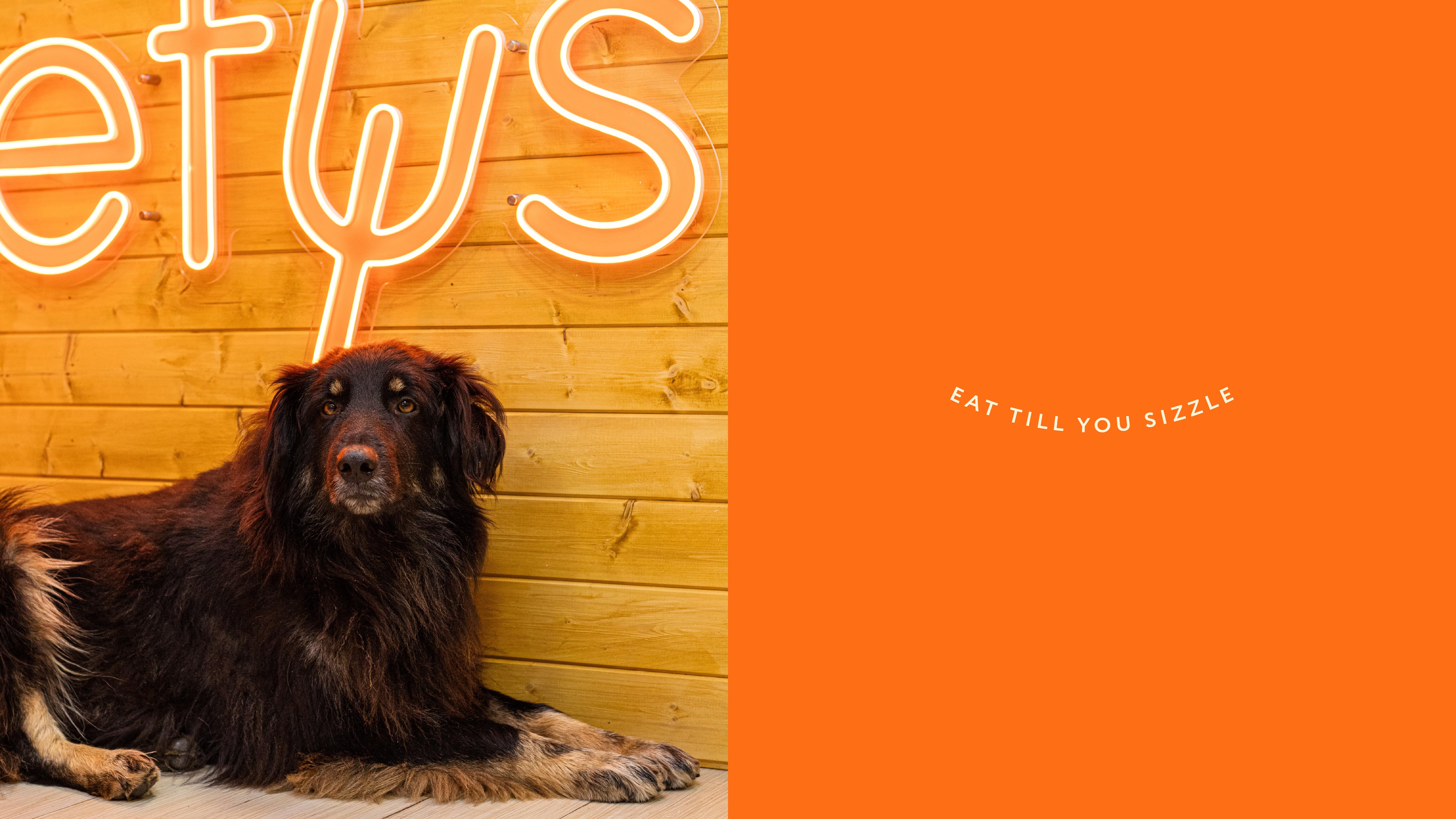 ETYS | HOT-DOGS | logotype design | branding design — Изображение №11 — Брендинг на Dprofile