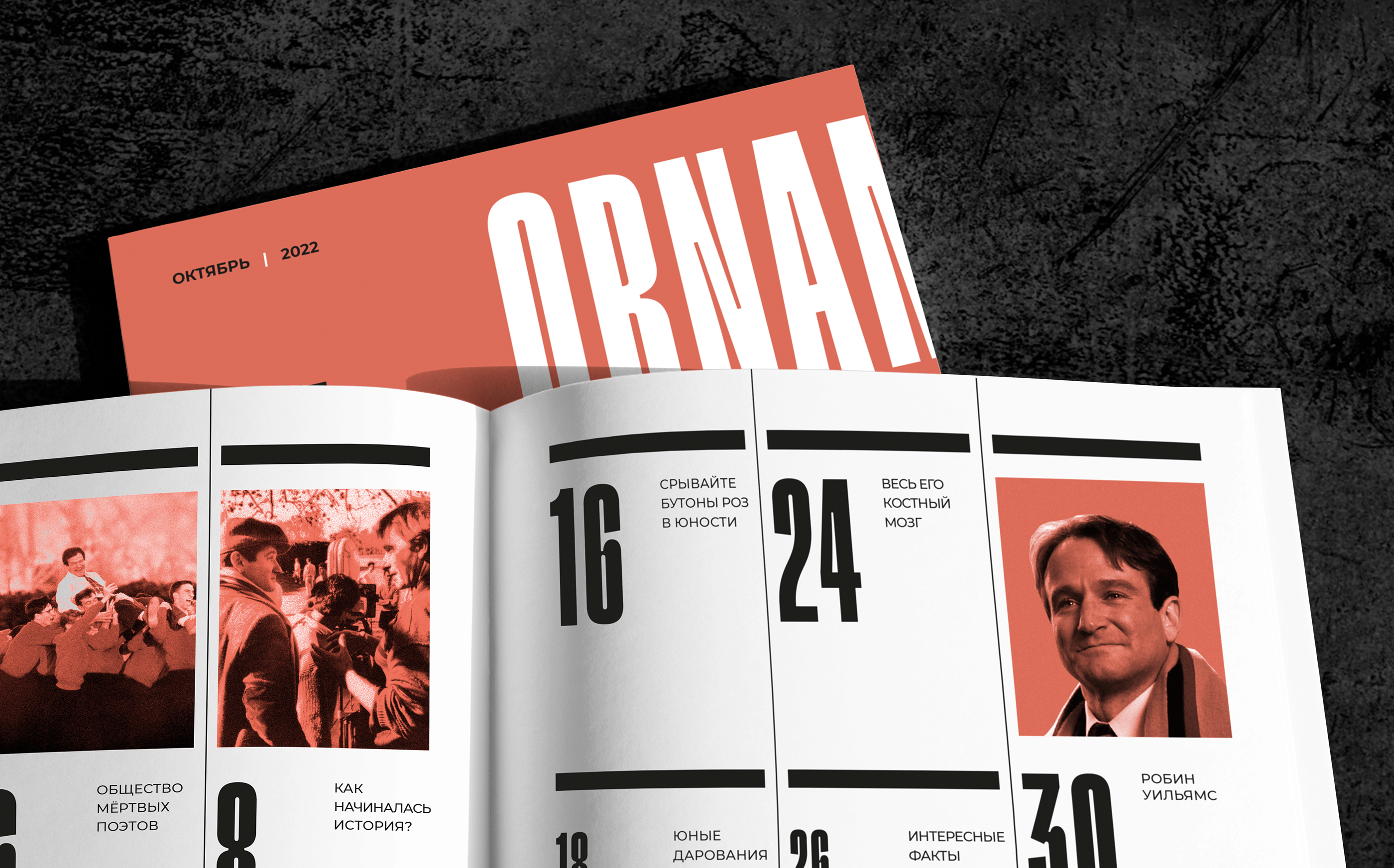 ORNAMENT. Журнал — Изображение №2 — Графика на Dprofile