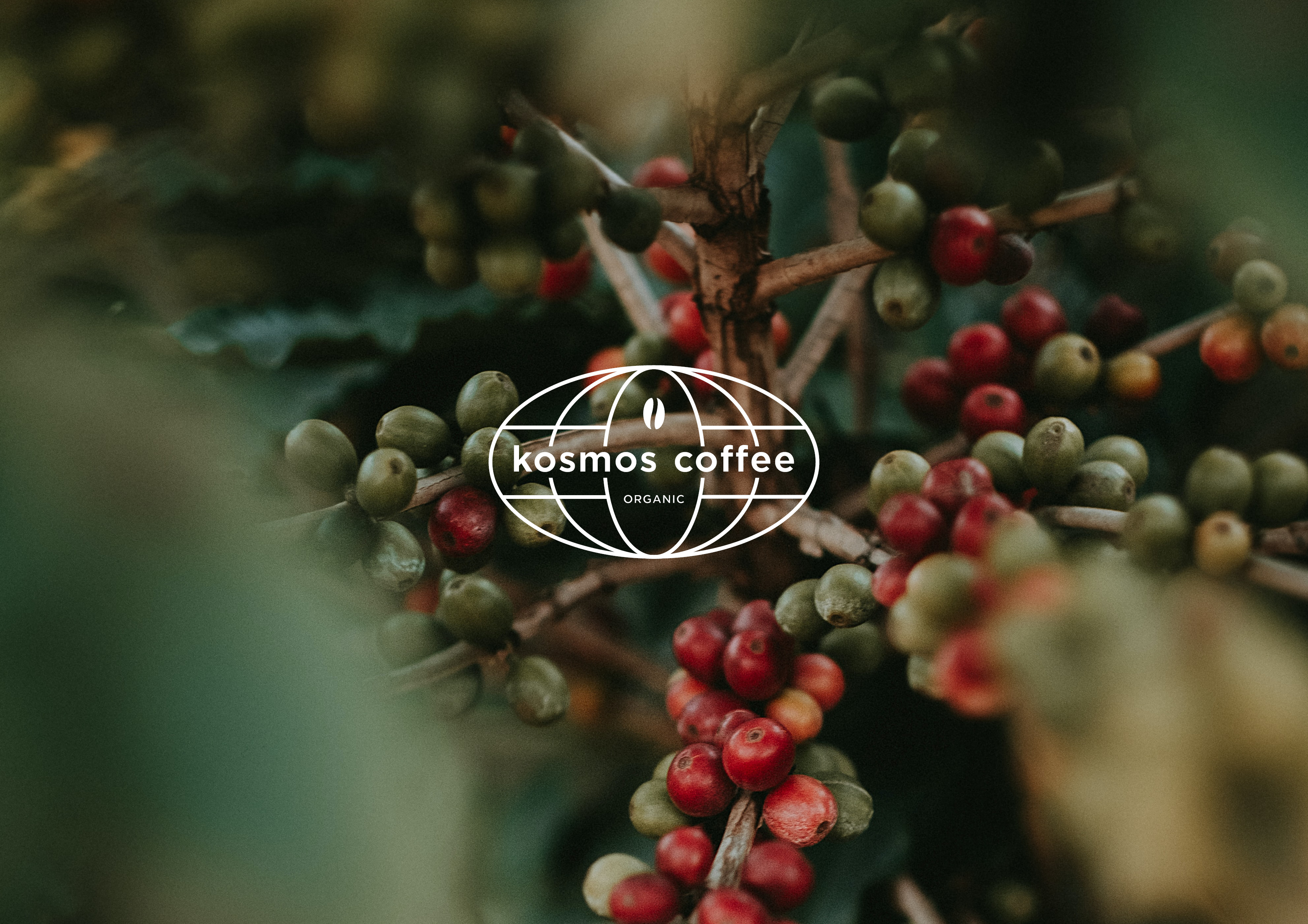 Kosmoss coffee | Logo design — Изображение №7 — Брендинг, Анимация на Dprofile