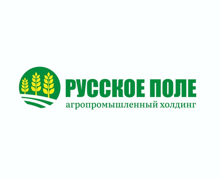 Русское Поле - Запуск Проекта Агро Холдинга — Брендинг, Графика на Dprofile
