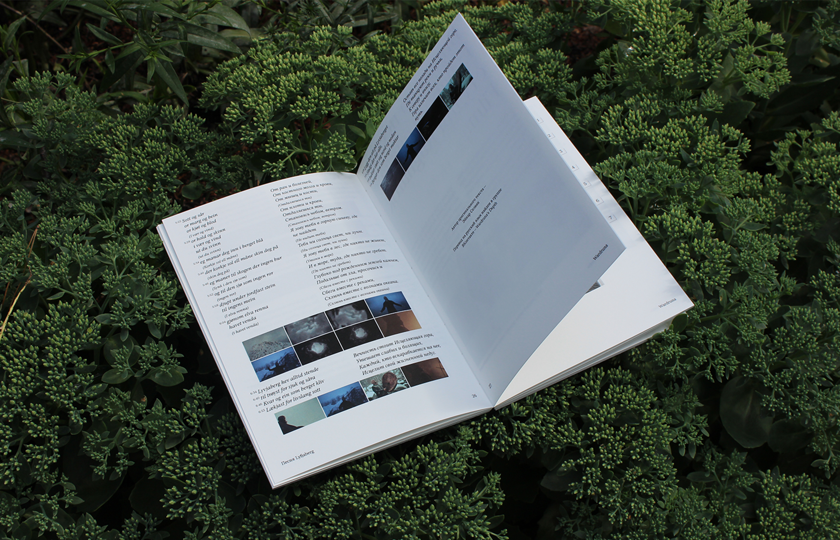 Книга про клип Lyfjaberg — Изображение №14 — Графика на Dprofile