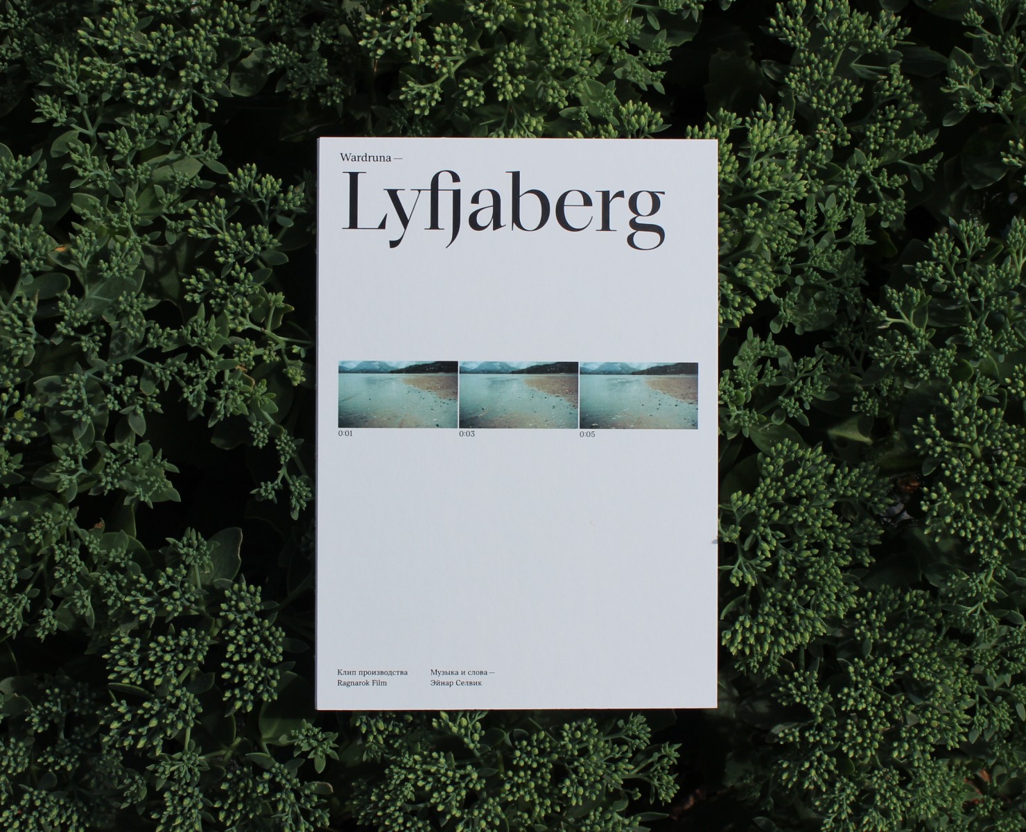 Книга про клип Lyfjaberg на Dprofile