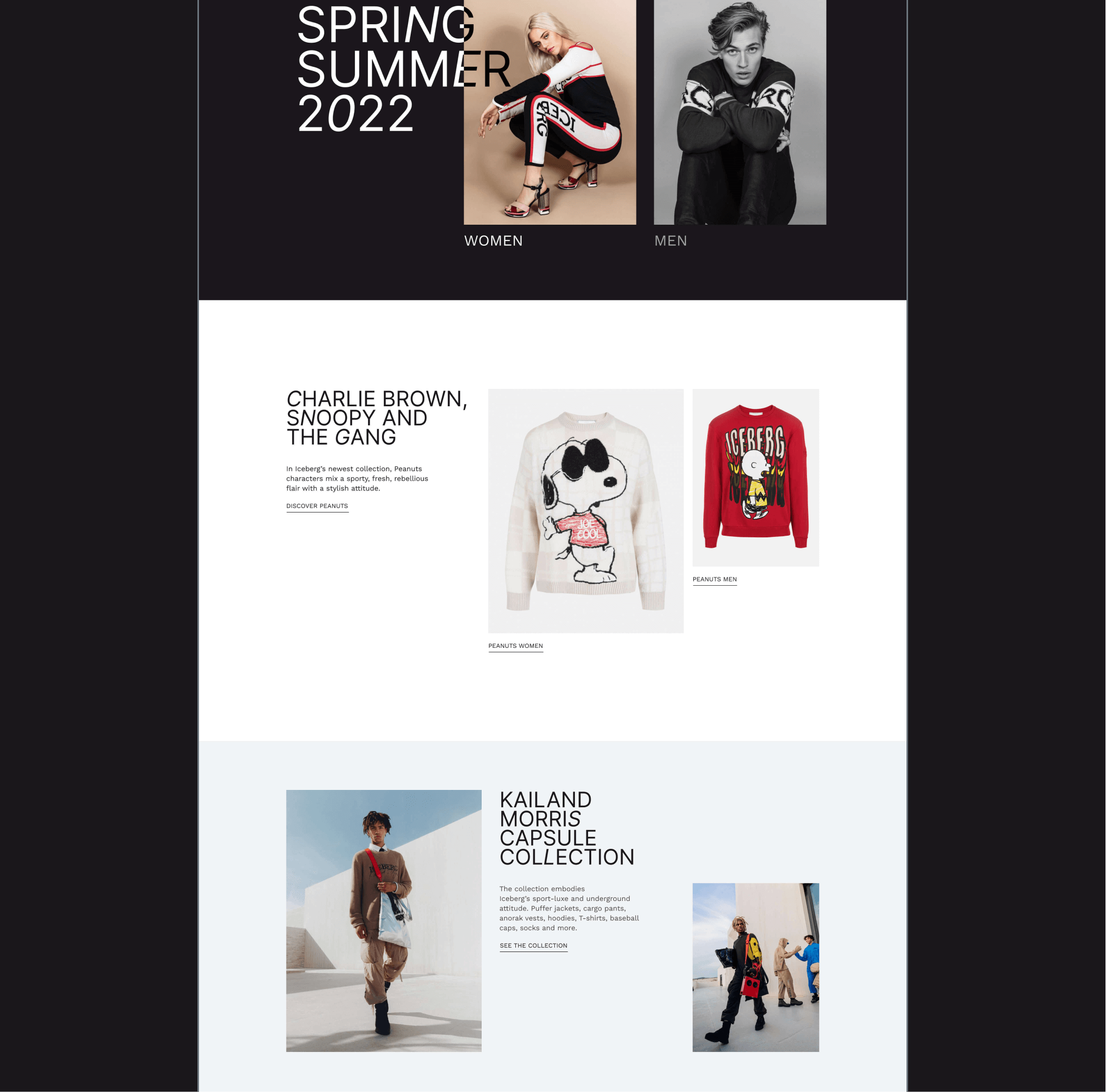 Iceberg eCommerce redesign concept — Изображение №2 — Интерфейсы, Брендинг на Dprofile