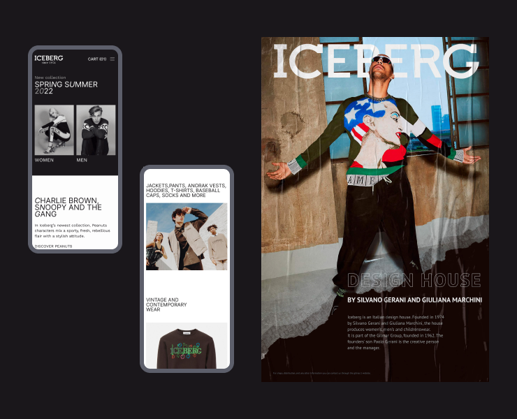 Iceberg eCommerce redesign concept — Интерфейсы, Брендинг на Dprofile