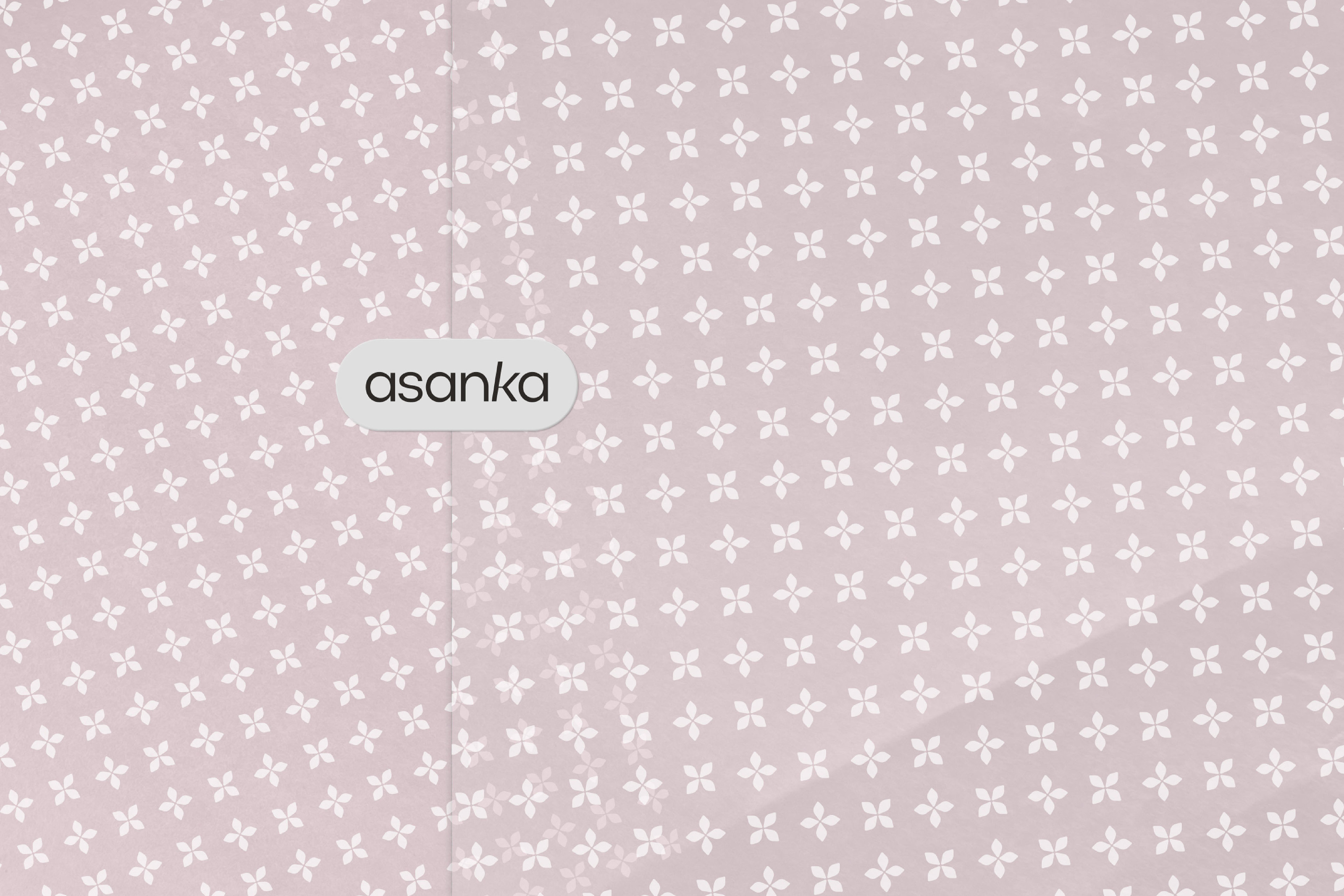 ASANKA | фирменный стиль для бренда спортивного инвентаря — Изображение №11 — Брендинг на Dprofile