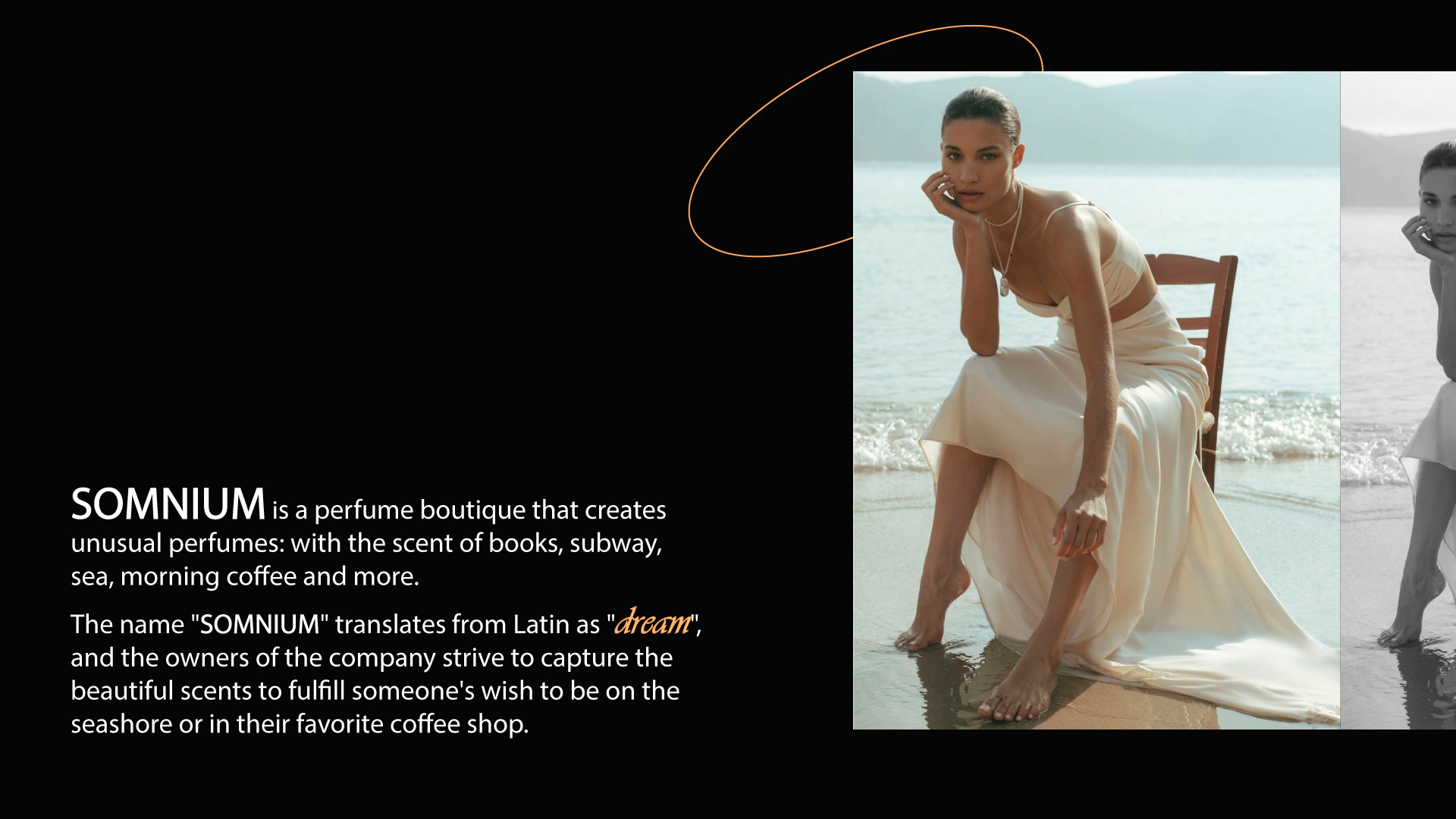 Perfume brand SOMNIUM - brand identity — Изображение №2 — Брендинг на Dprofile