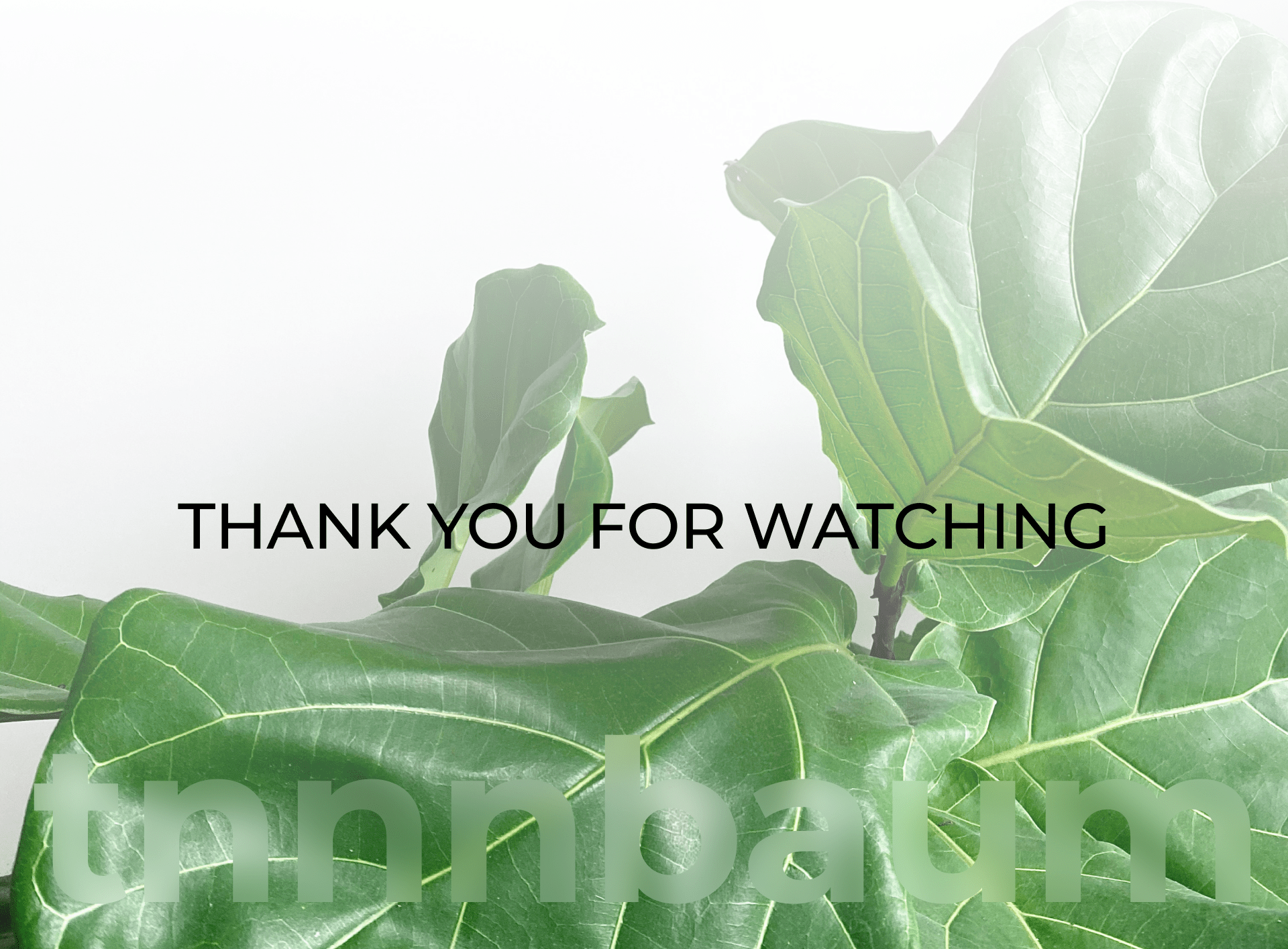 ASTRE / Online-store / Web-design — Изображение №14 — Интерфейсы на Dprofile