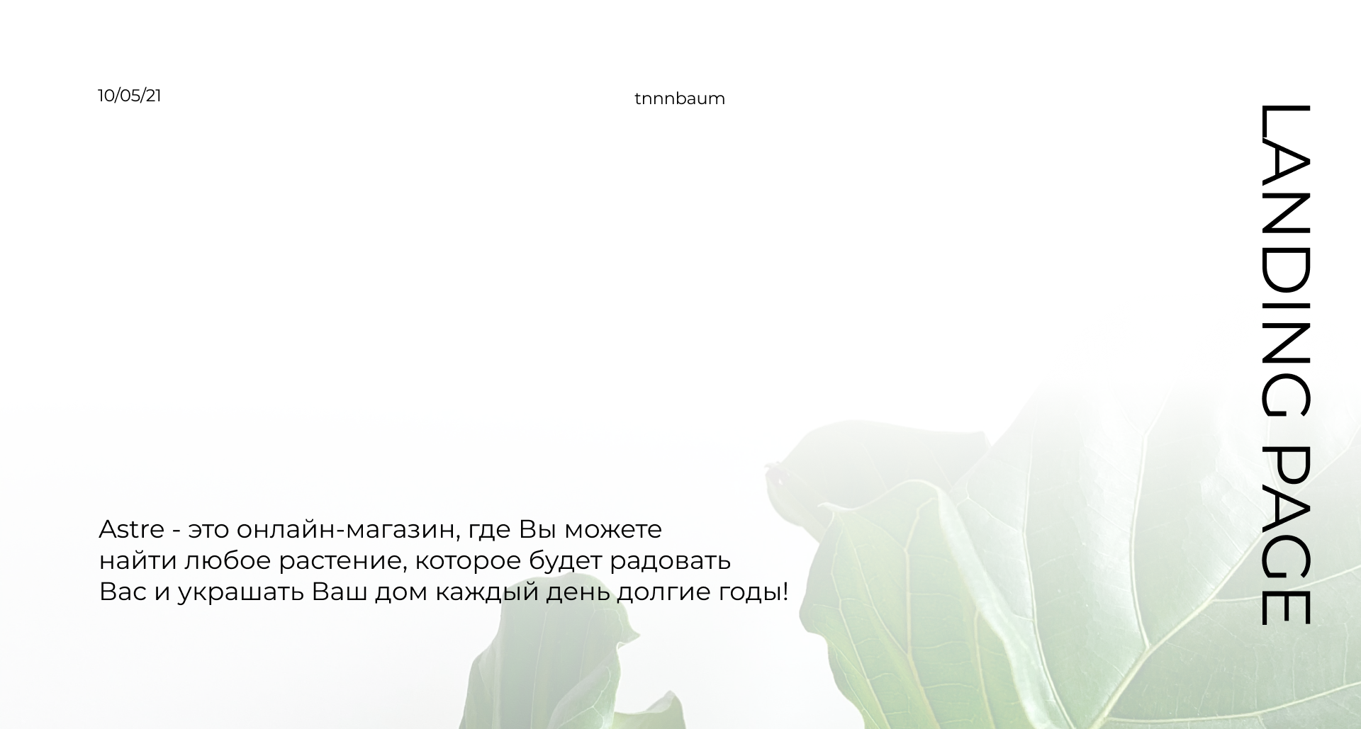 ASTRE / Online-store / Web-design — Изображение №1 — Интерфейсы на Dprofile