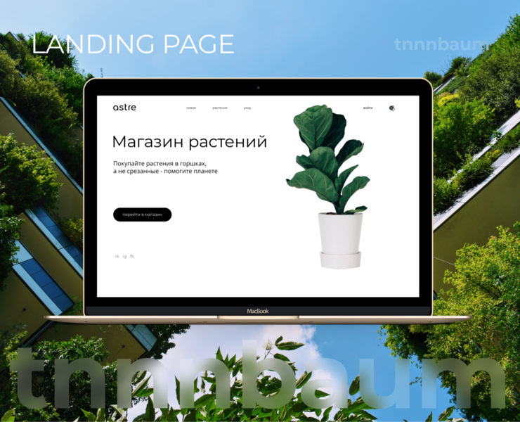 ASTRE / Online-store / Web-design — Интерфейсы на Dprofile