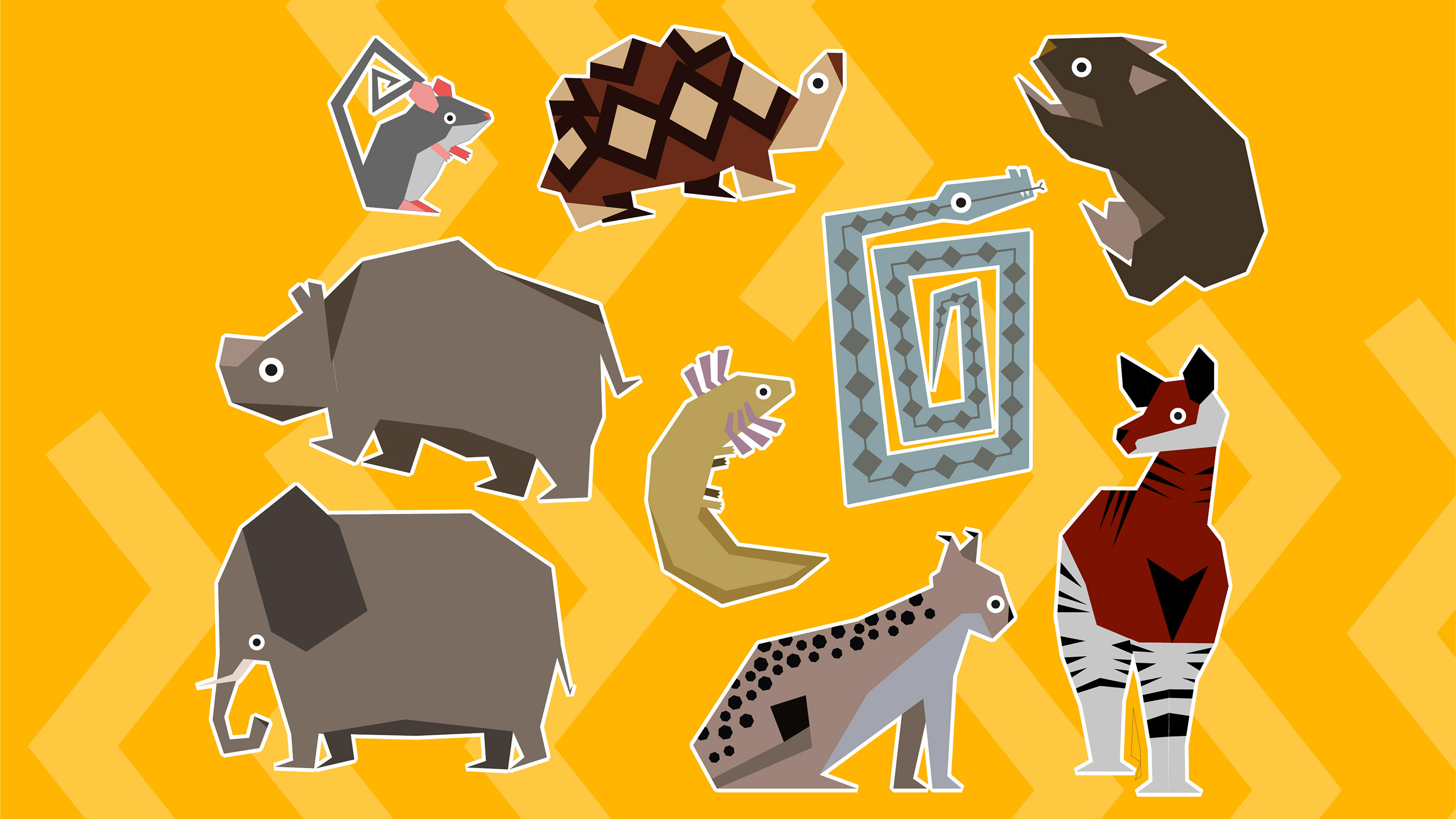ANIMALUES — Изображение №8 — Брендинг, Иллюстрация на Dprofile