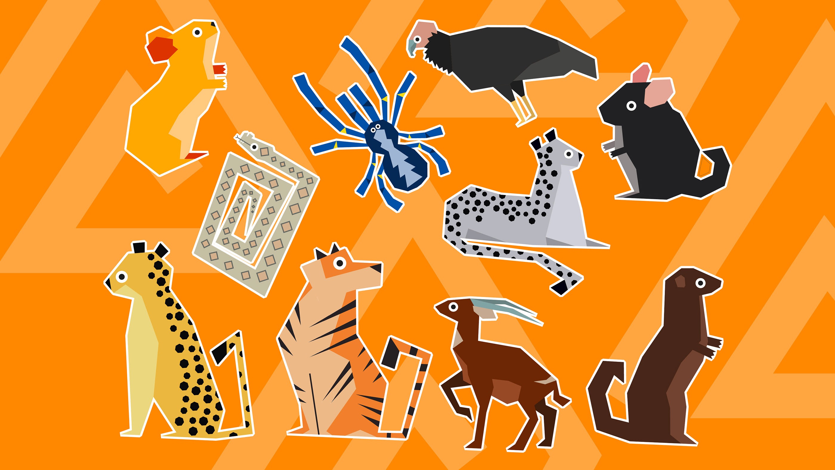 ANIMALUES — Изображение №6 — Брендинг, Иллюстрация на Dprofile