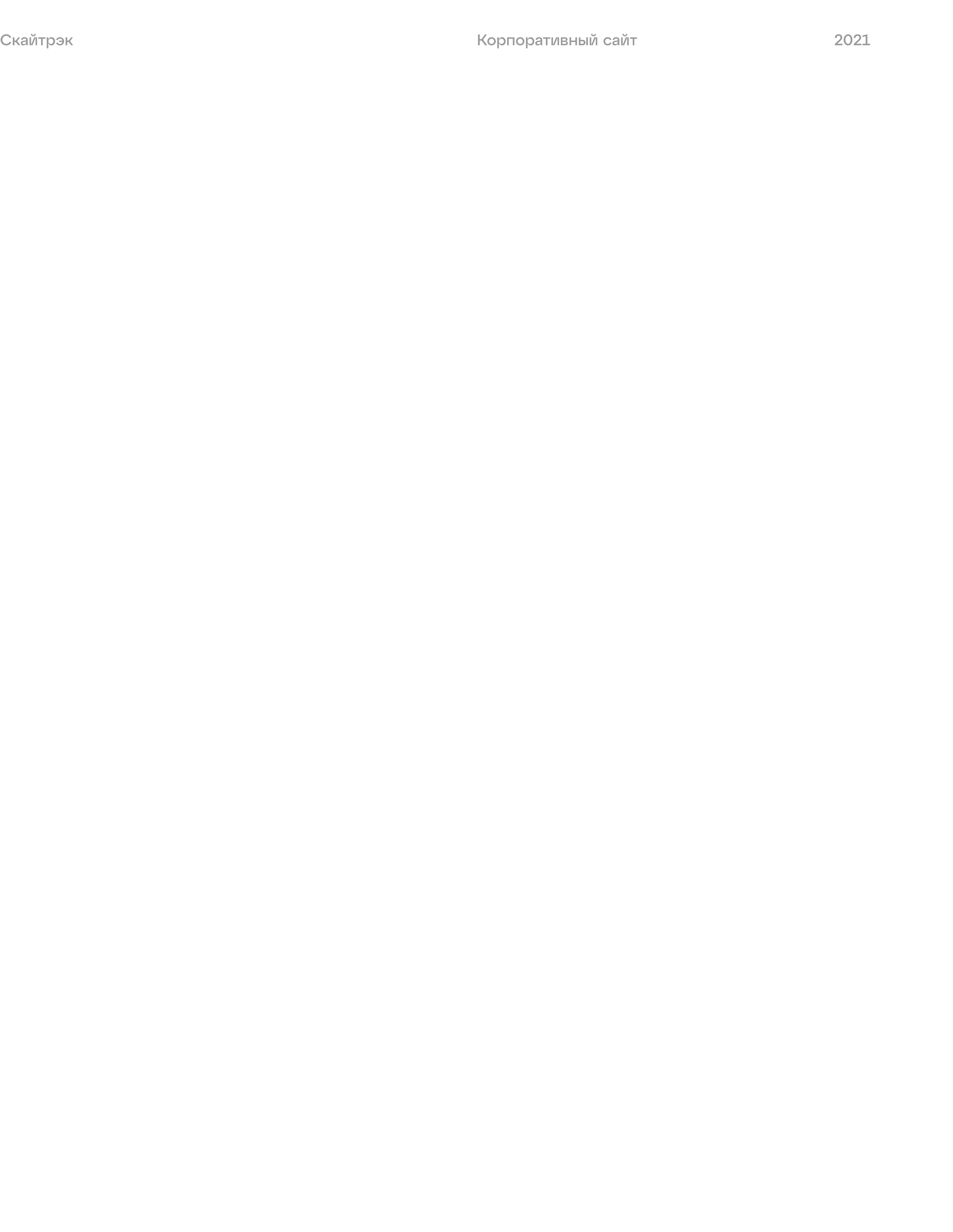 Скайтрэк — Изображение №1 — Интерфейсы на Dprofile