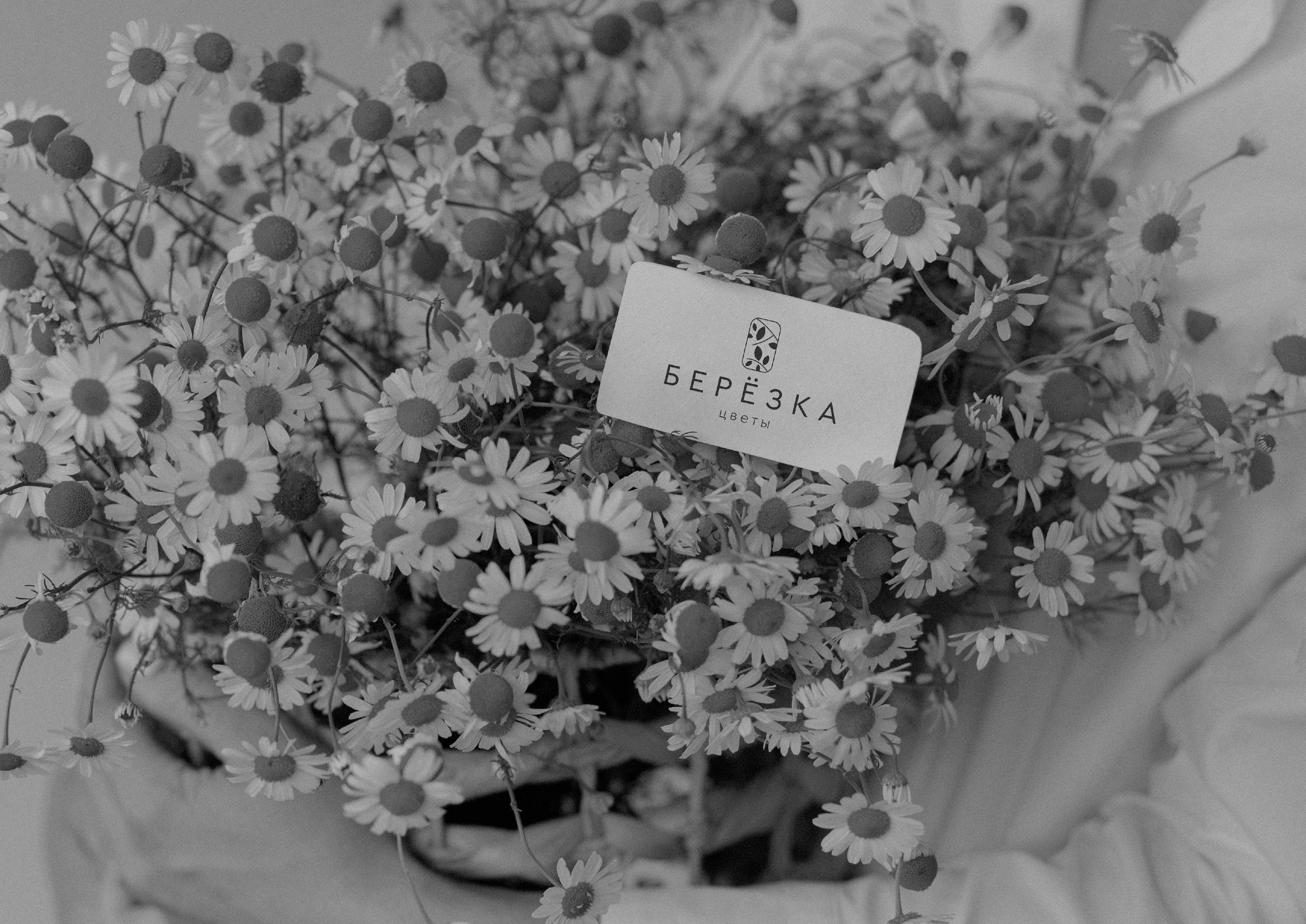 Logo / Branding / Flower studio Berezka — Изображение №4 — Брендинг на Dprofile