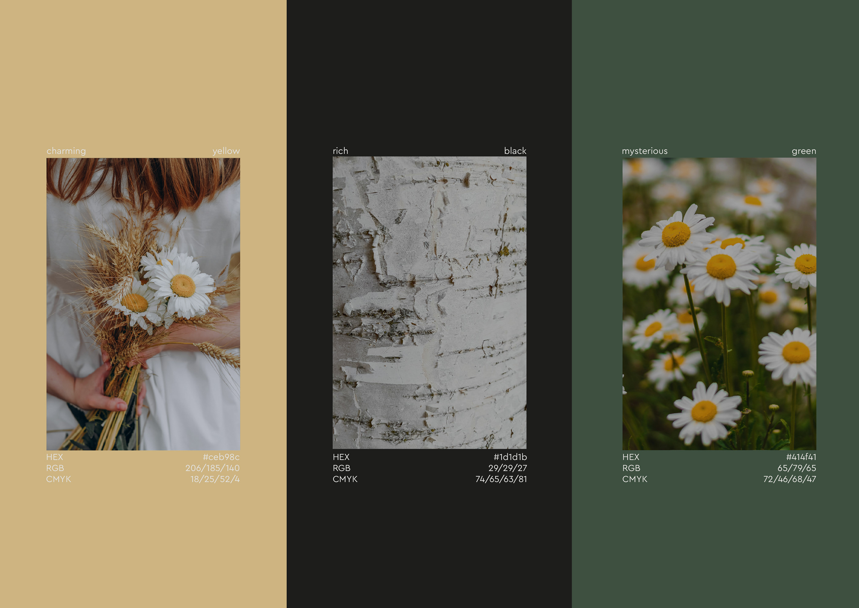 Logo / Branding / Flower studio Berezka — Изображение №5 — Брендинг на Dprofile