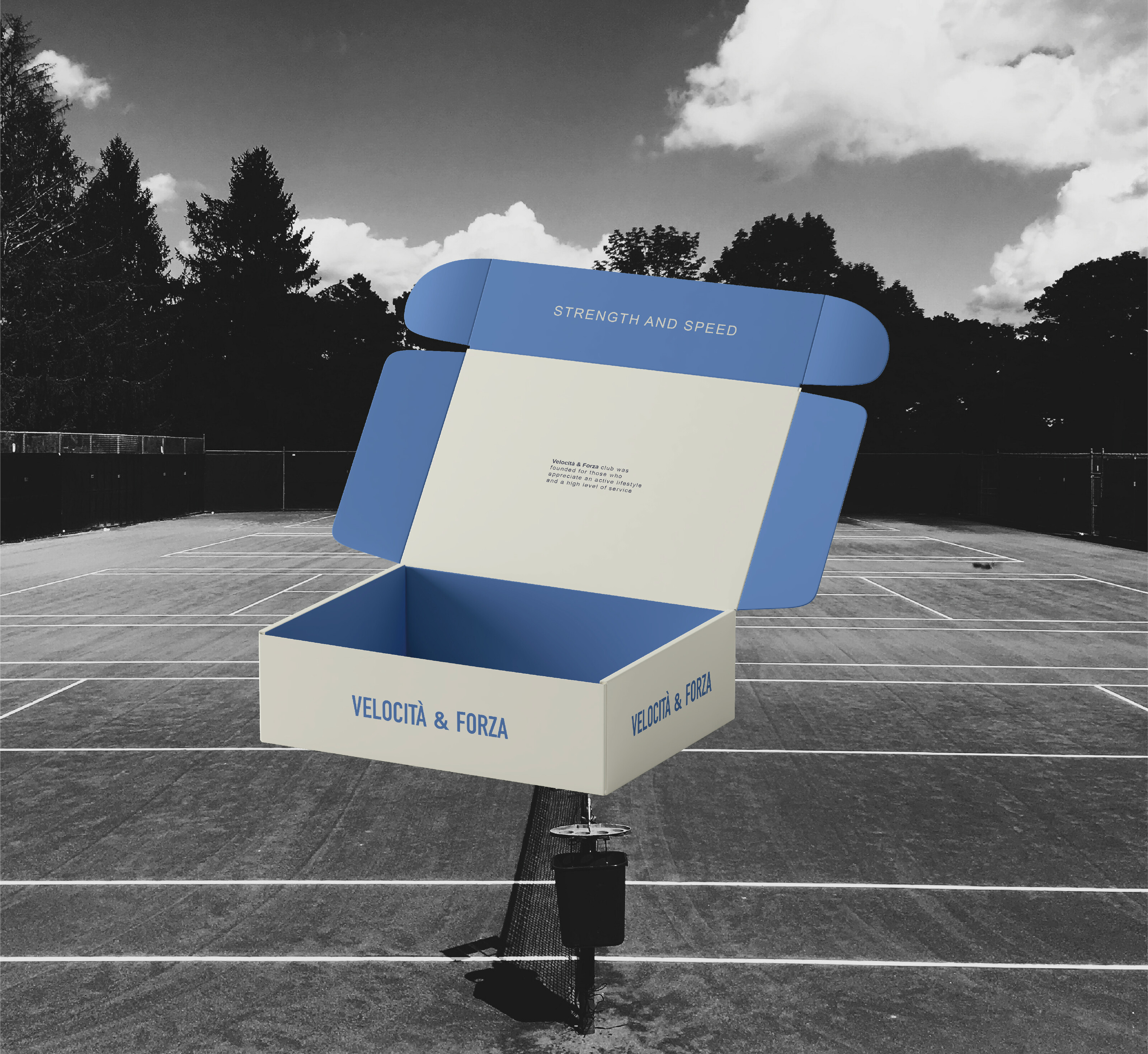 Logotype / Brand identity / Tennis club — Изображение №7 — Брендинг, Графика на Dprofile