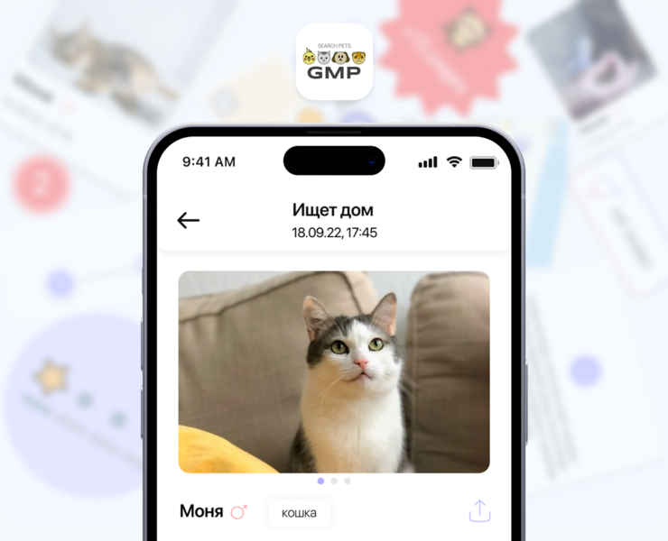 GMP | PET SEARCH — Интерфейсы на Dprofile