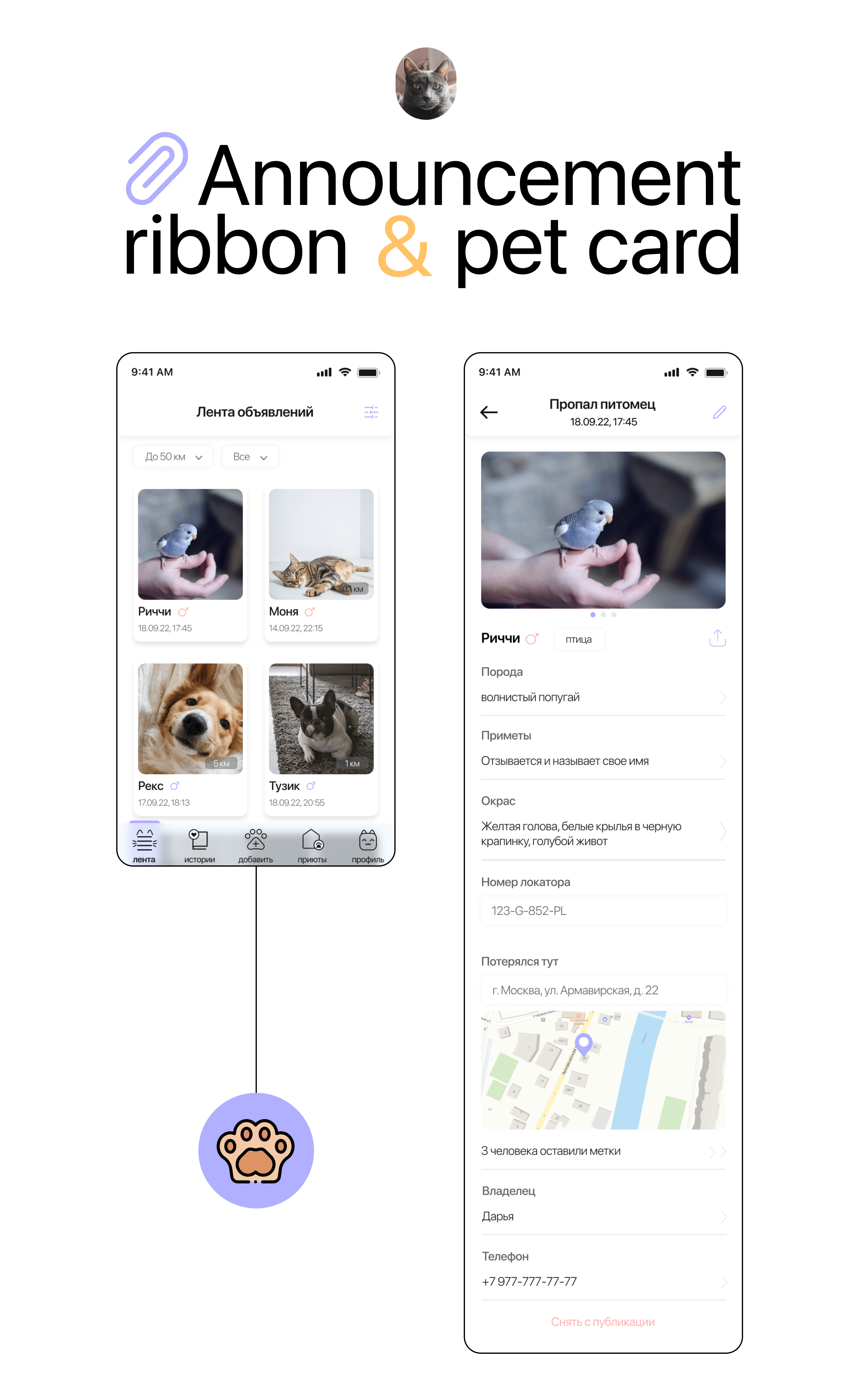 GMP | PET SEARCH — Изображение №11 — Интерфейсы на Dprofile