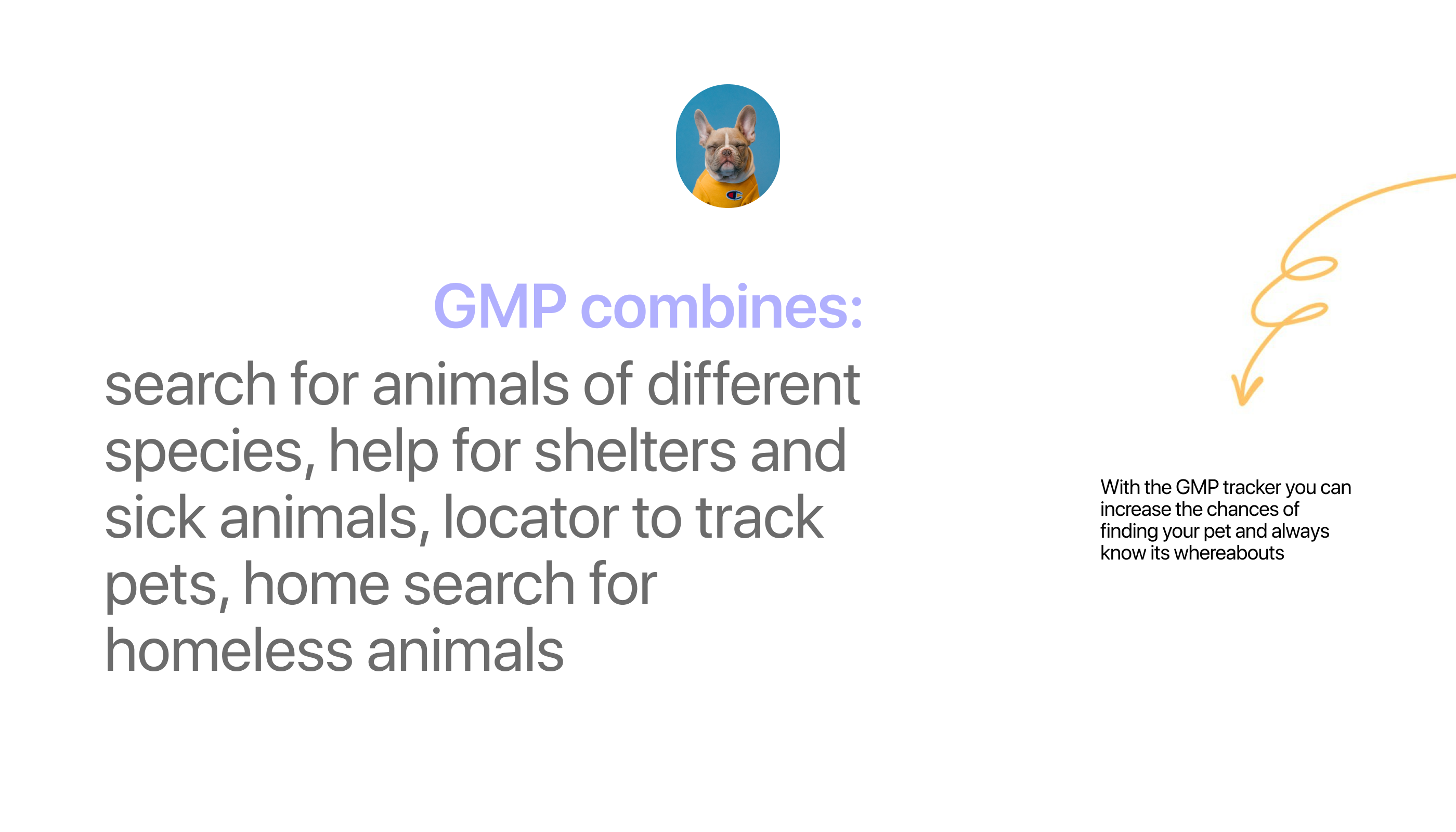 GMP | PET SEARCH — Изображение №2 — Интерфейсы на Dprofile