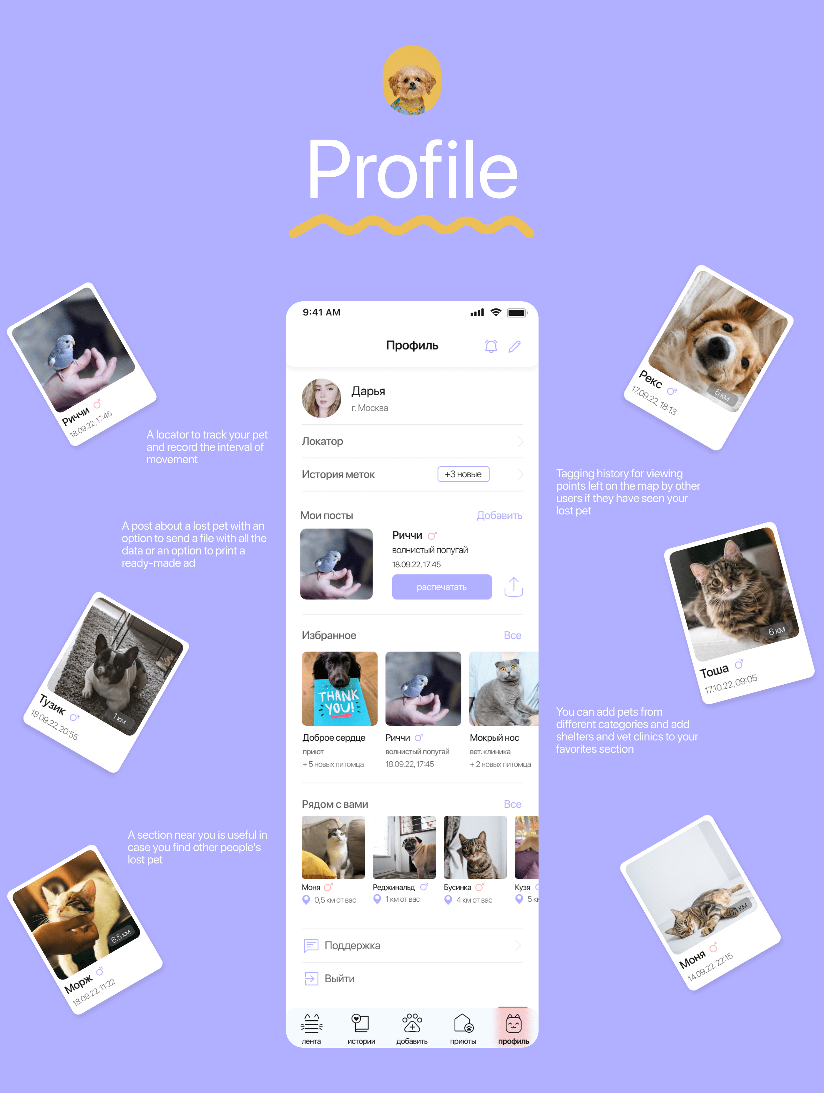 GMP | PET SEARCH — Изображение №7 — Интерфейсы на Dprofile