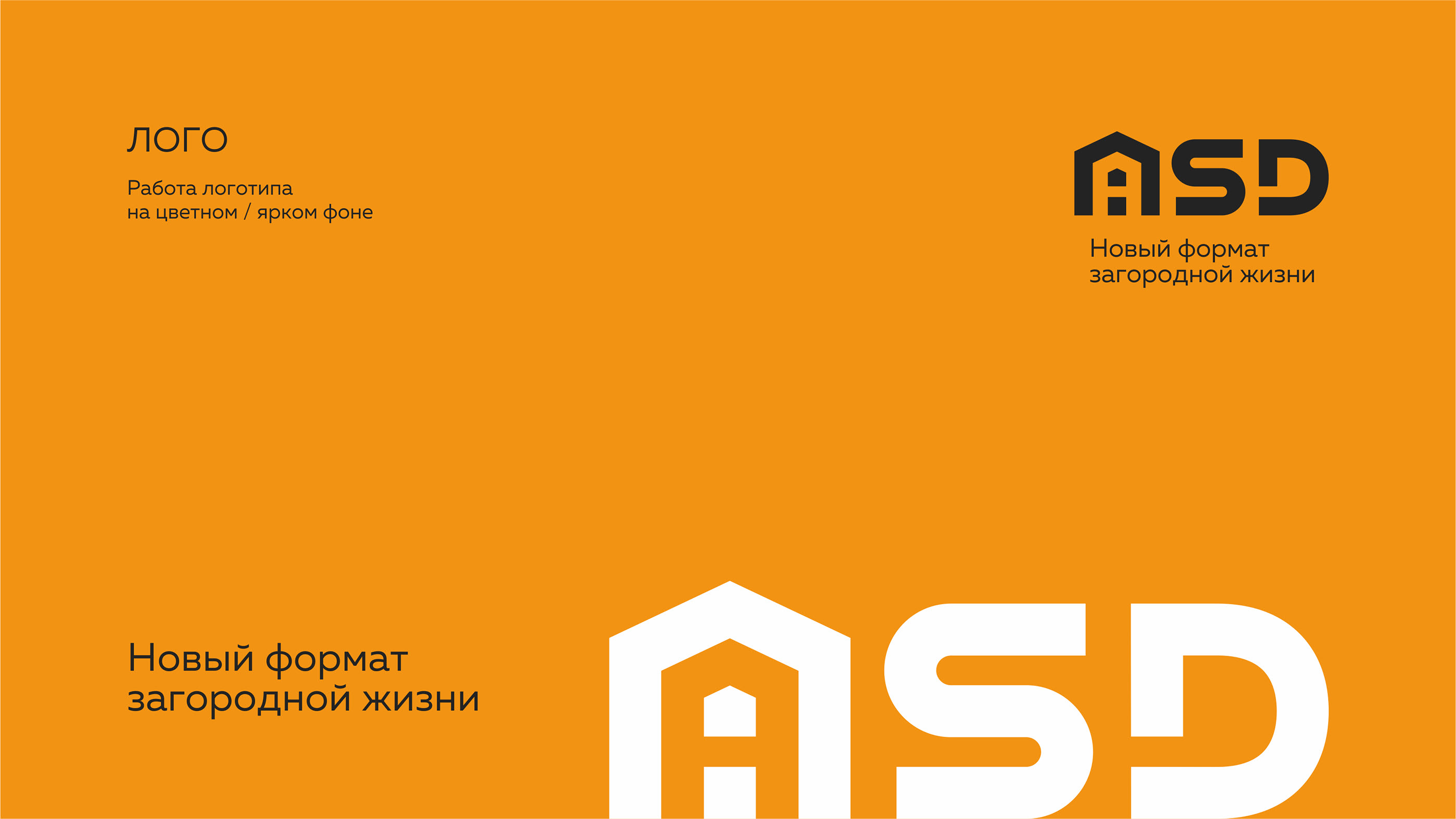 ASD — Изображение №8 — Брендинг, Графика на Dprofile