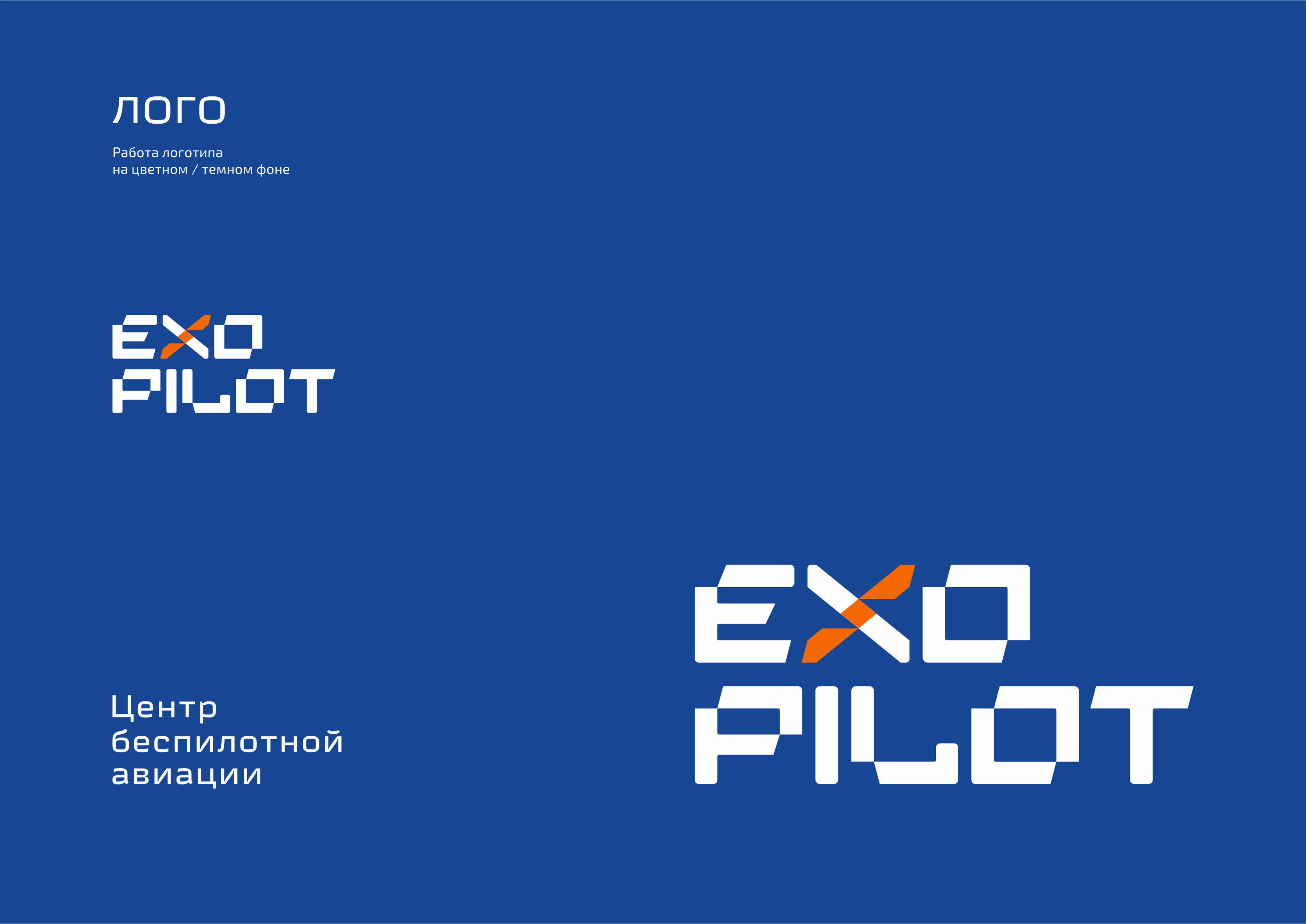 EXO PILOT — Изображение №7 — Брендинг, Графика на Dprofile