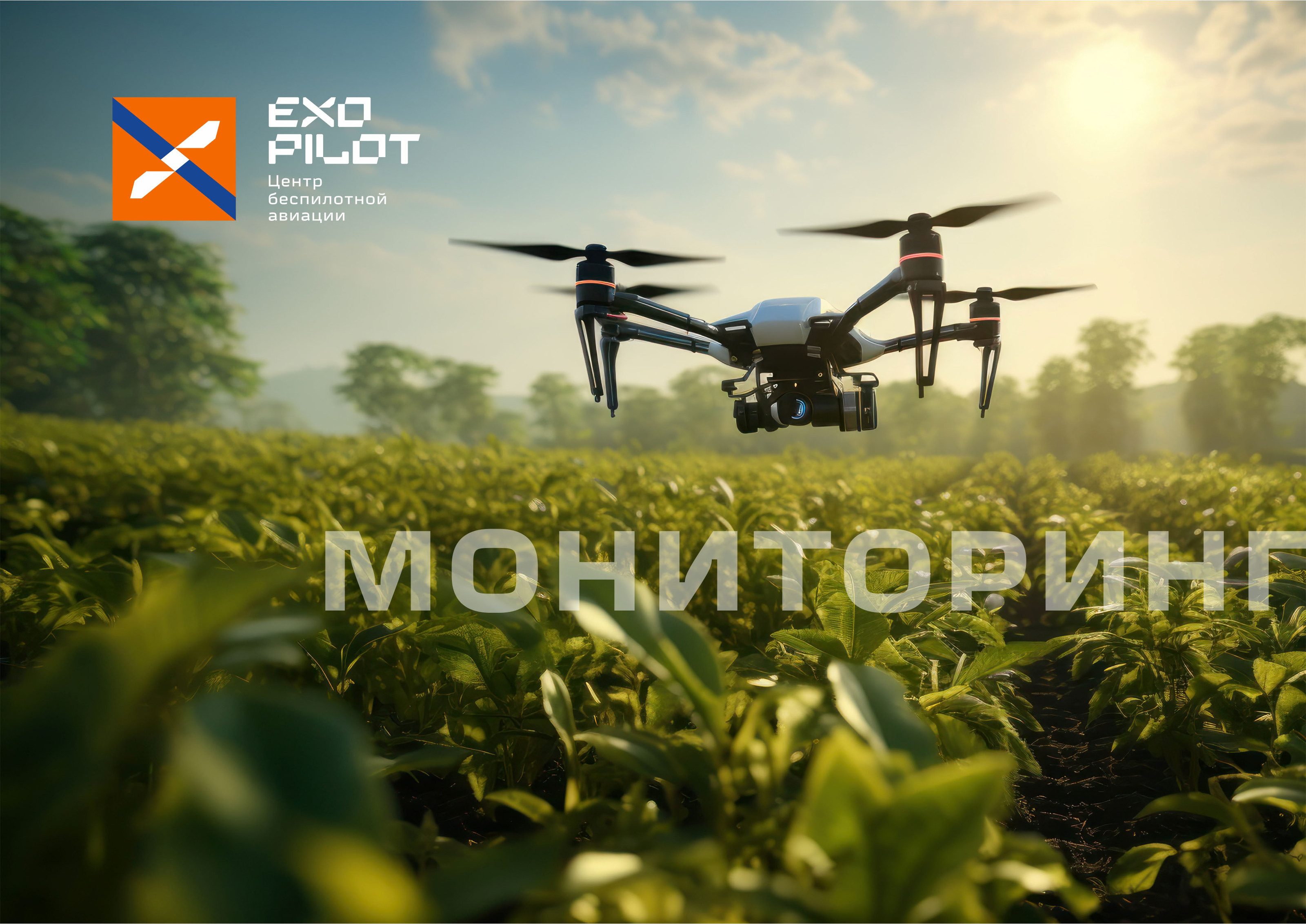 EXO PILOT — Изображение №19 — Брендинг, Графика на Dprofile