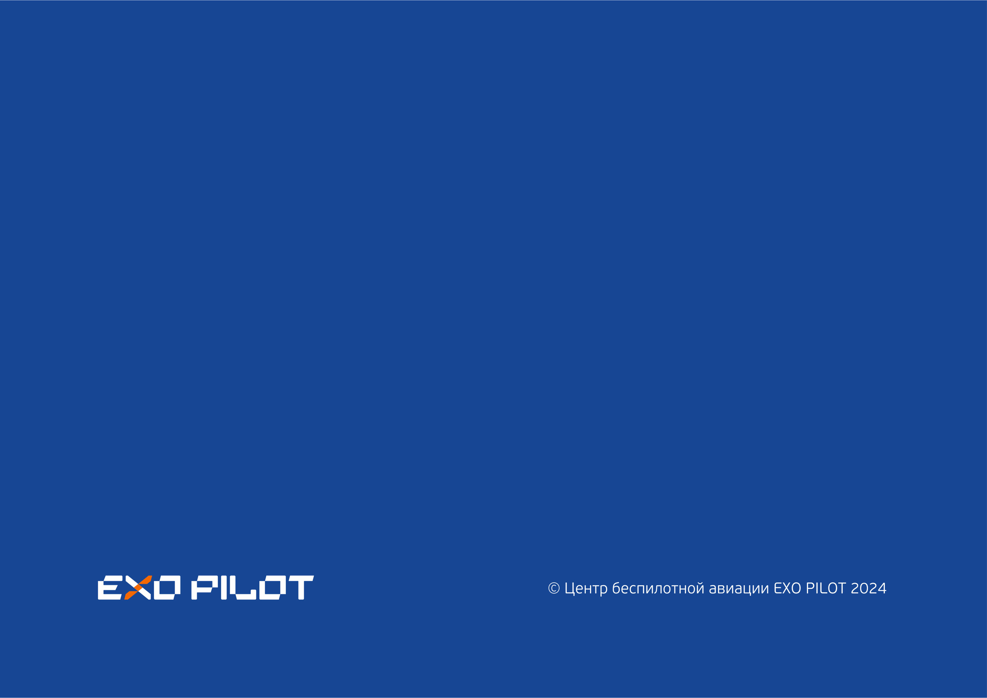 EXO PILOT — Изображение №26 — Брендинг, Графика на Dprofile