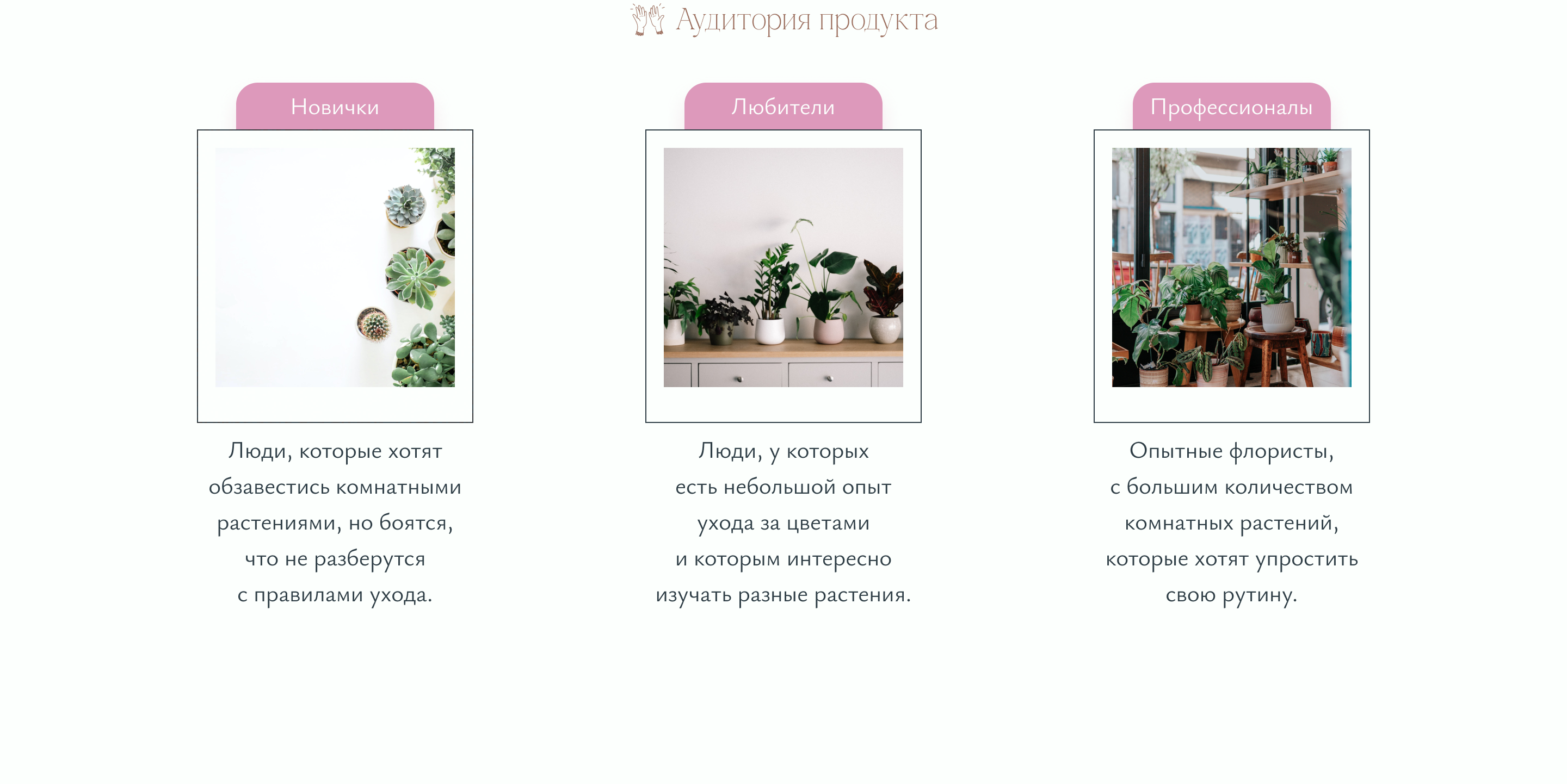 Plant Pal | Mobile app - UX/UI — Изображение №3 — Интерфейсы на Dprofile