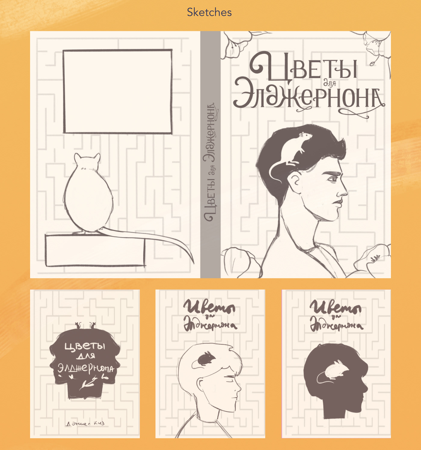 Иллюстрации и леттеринг для книжных обложек — Изображение №4 — Иллюстрация на Dprofile