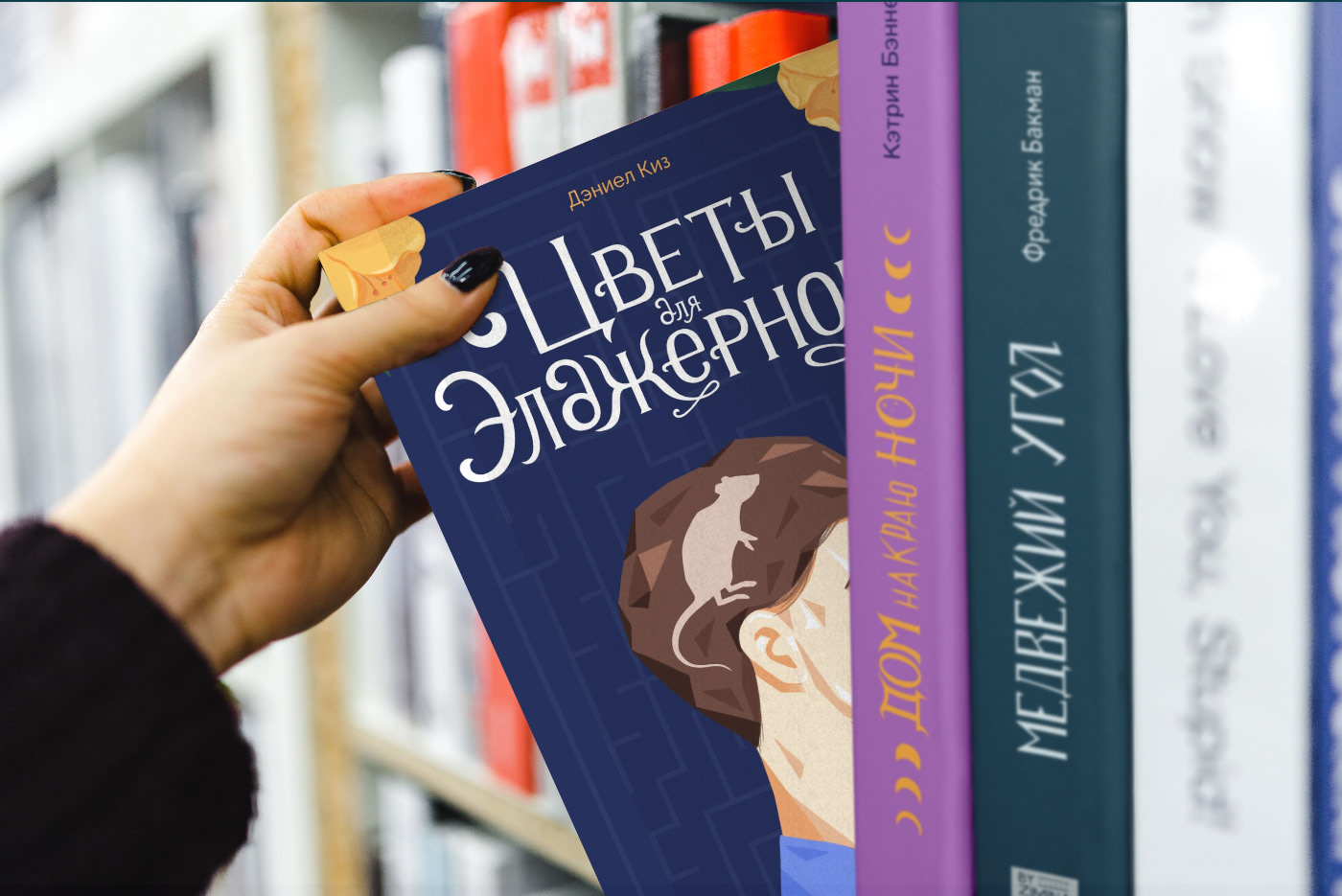 Иллюстрации и леттеринг для книжных обложек — Изображение №14 — Иллюстрация на Dprofile