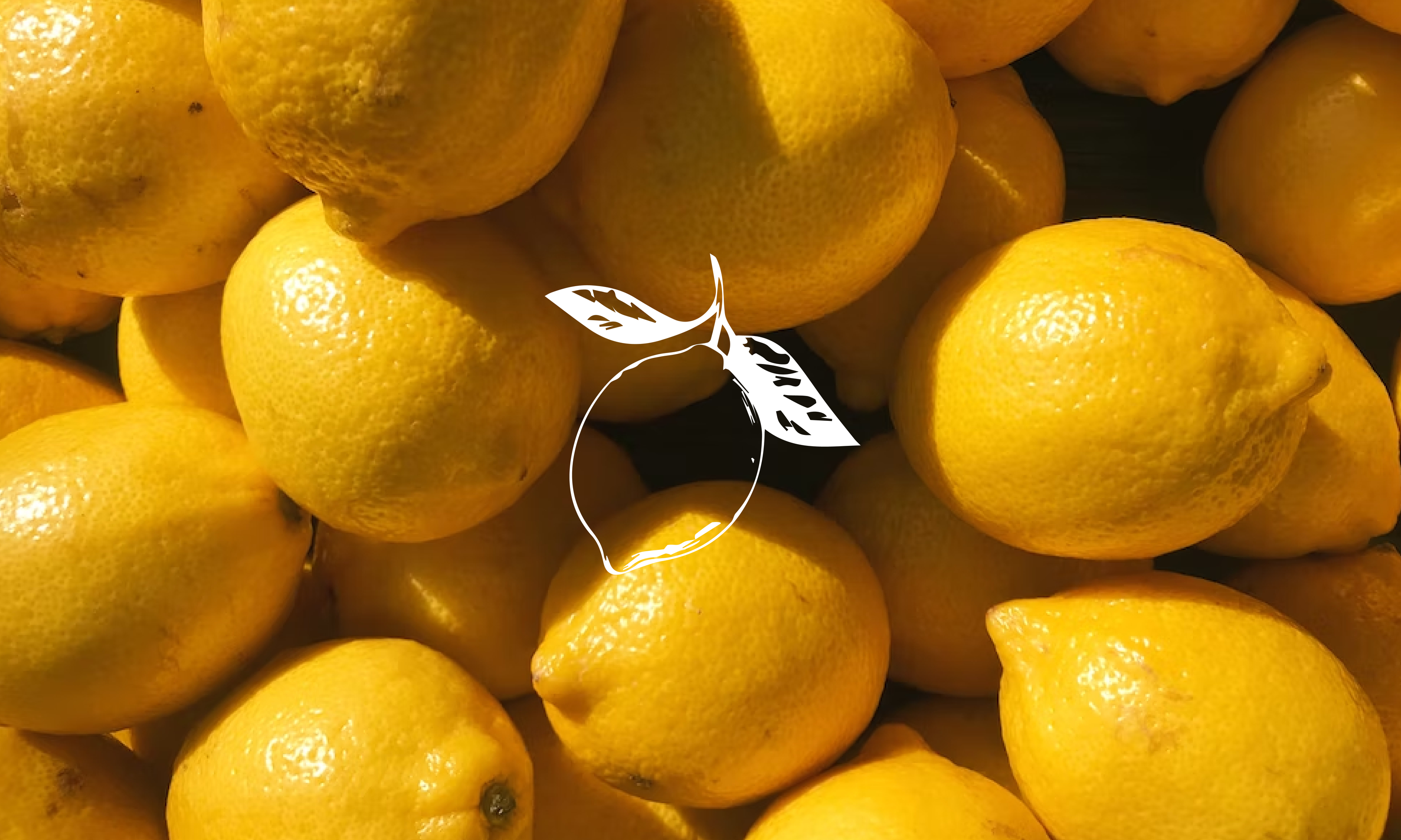 LIMONELLO — Изображение №8 — Брендинг на Dprofile