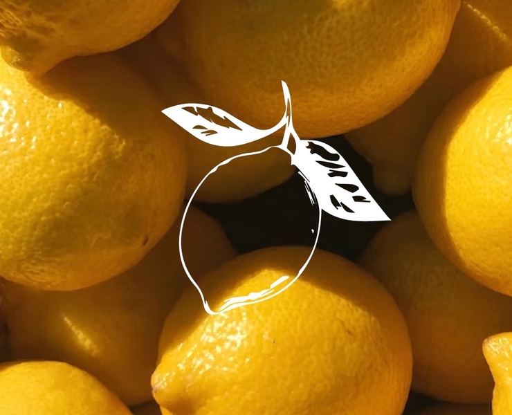 LIMONELLO — Брендинг на Dprofile