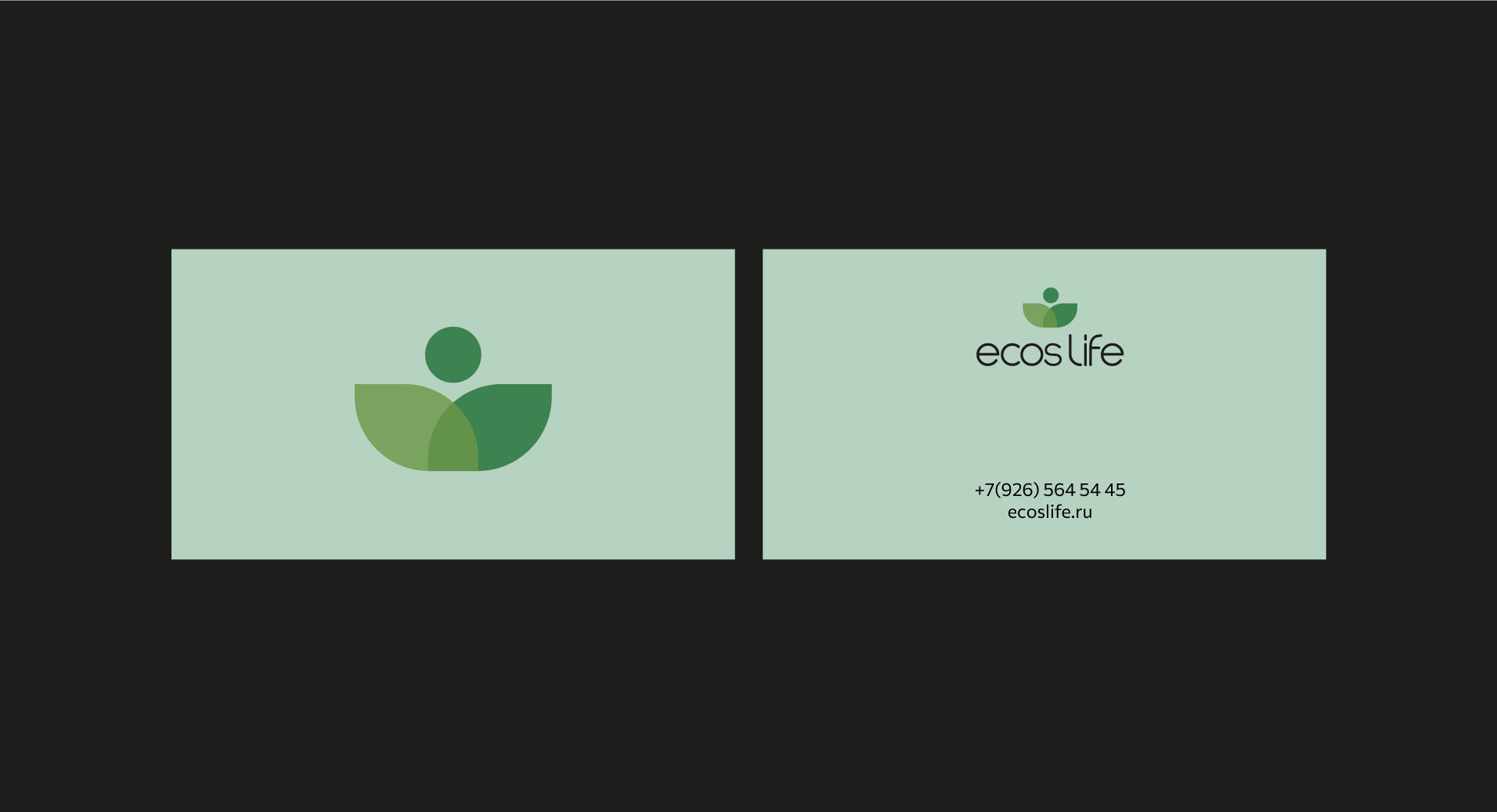 Identity Ecos life — Изображение №5 — Брендинг, Графика на Dprofile