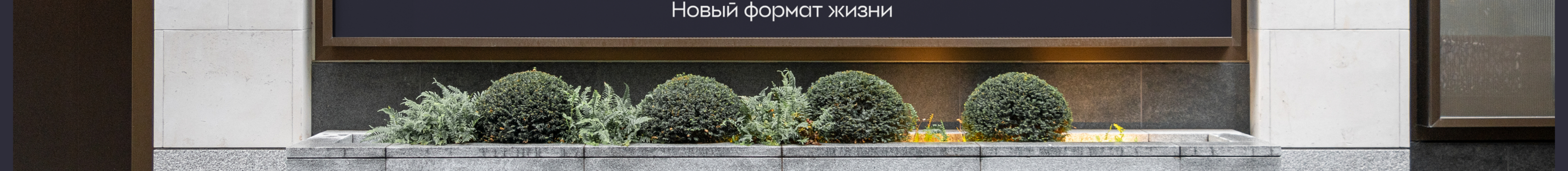 Резиденция Поляна | брендинг — Изображение №26 — Брендинг на Dprofile