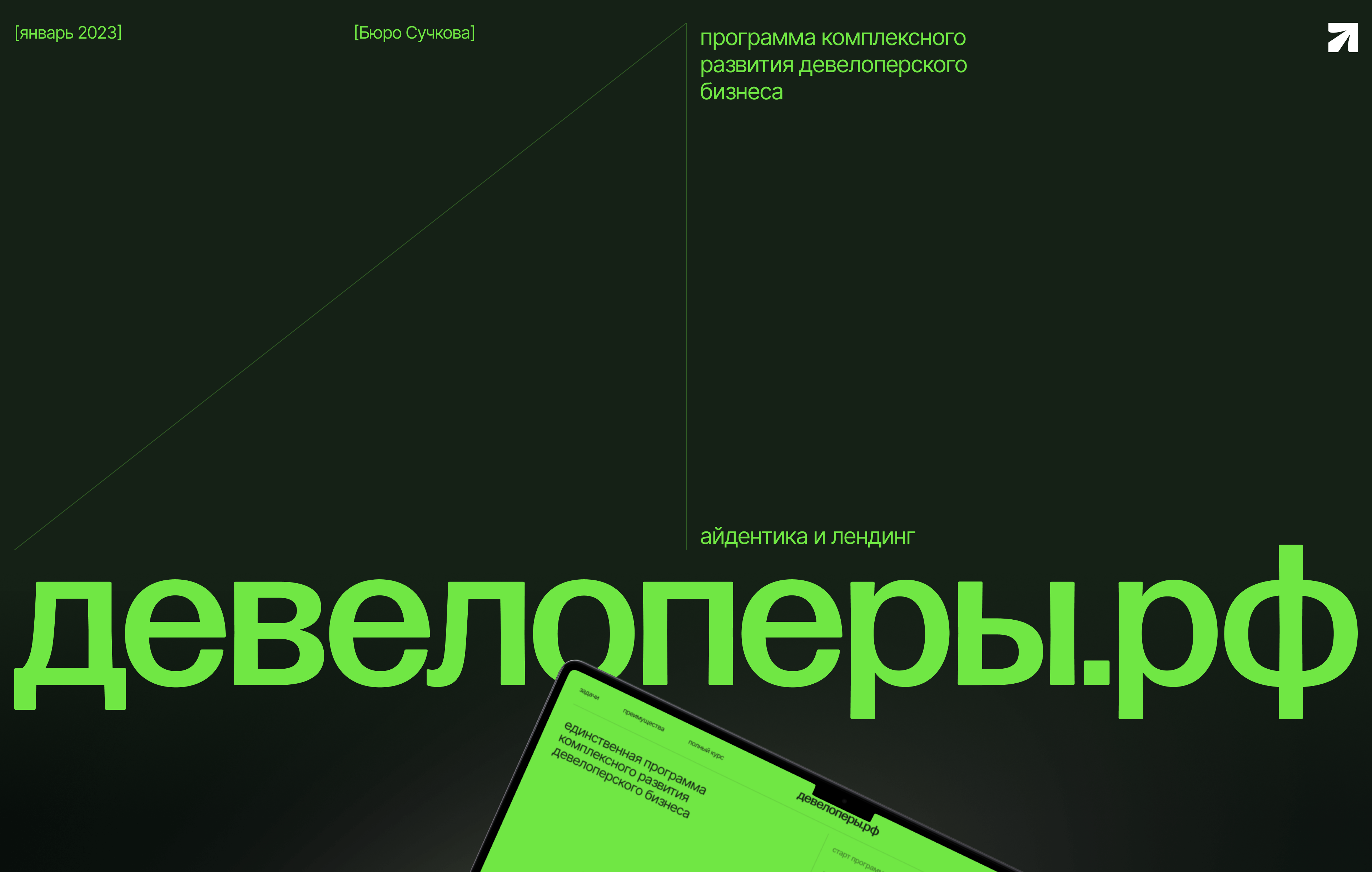 Девелоперы.рф | айдентика и лендинг для программы обучения — Изображение №1 — Интерфейсы, Брендинг на Dprofile