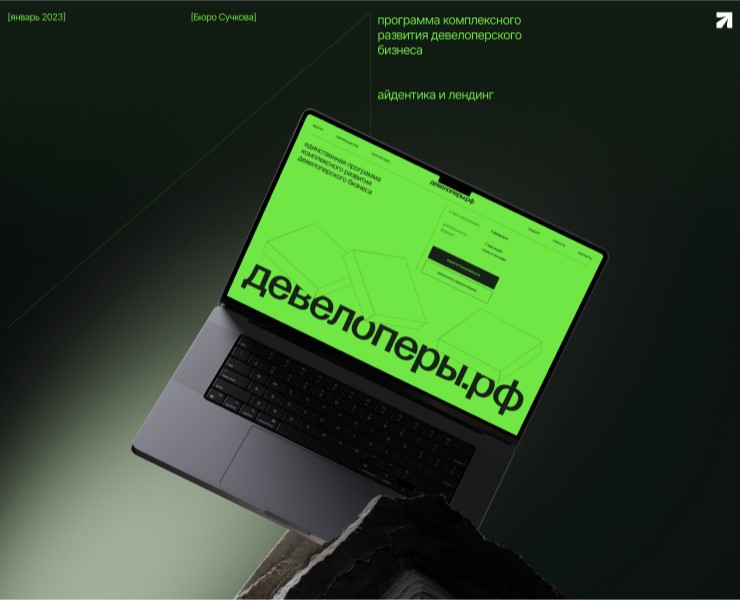 Девелоперы.рф | айдентика и лендинг для программы обучения — Интерфейсы, Брендинг на Dprofile