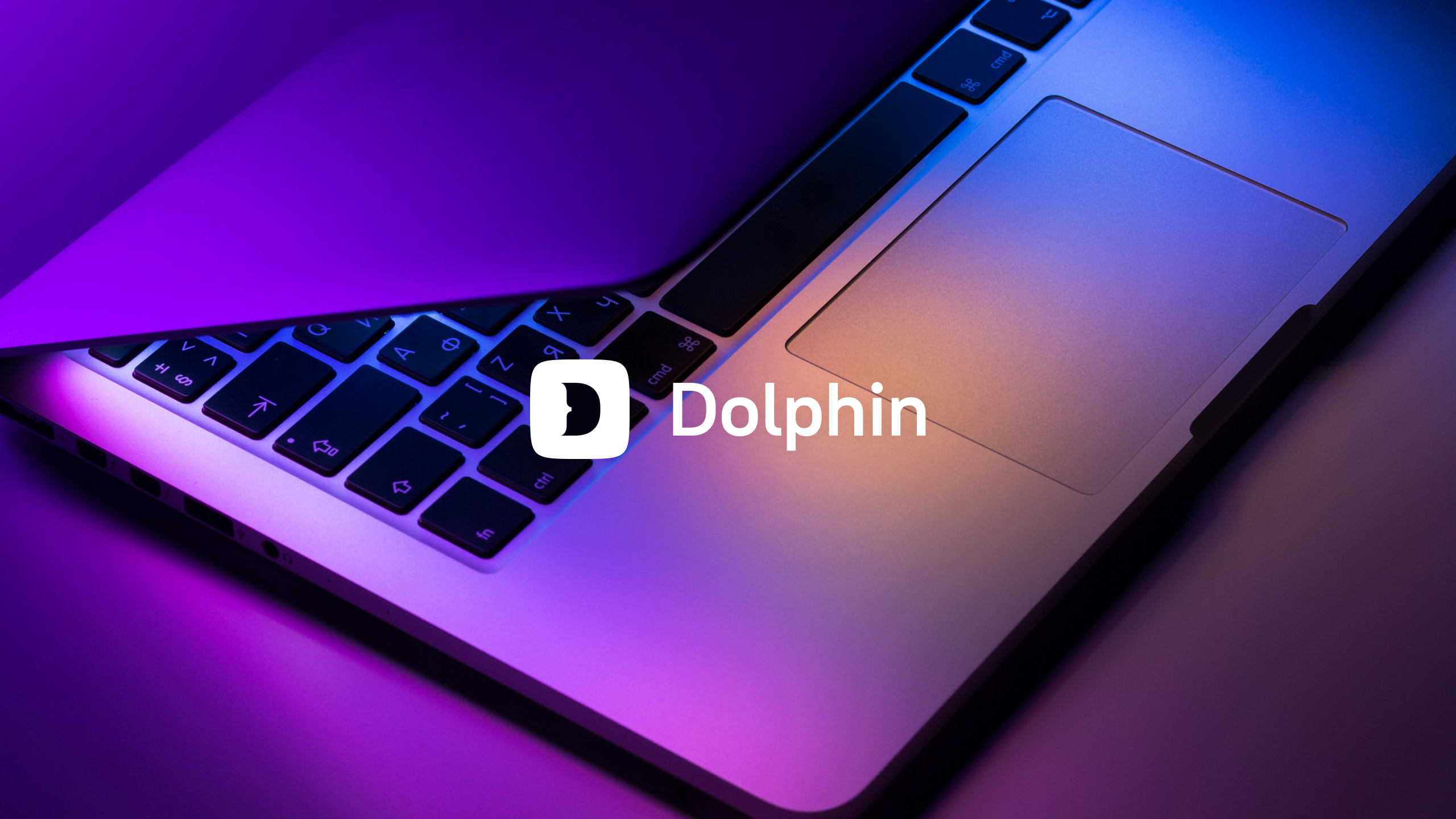 Dolphin — Изображение №1 — Брендинг, Маркетинг на Dprofile