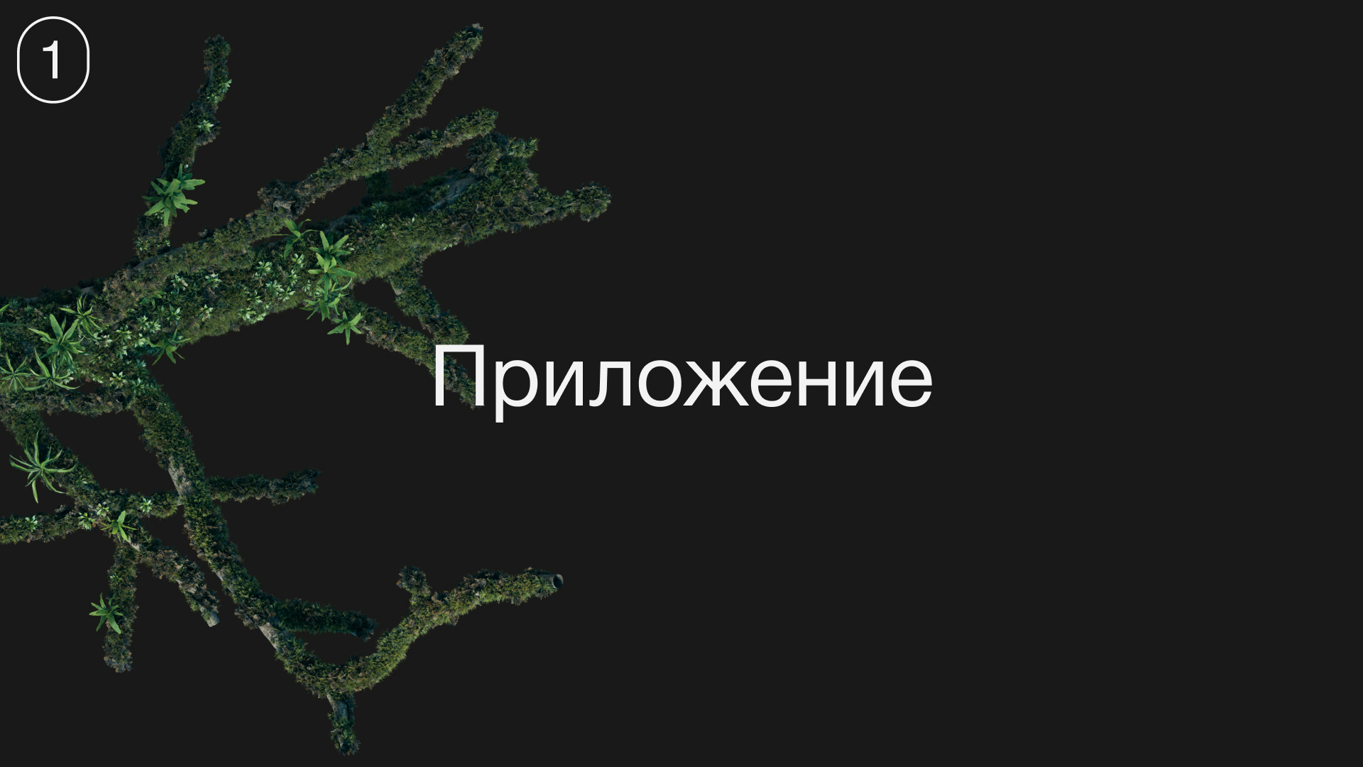 Sreda — приложение для исследования флоры — Изображение №3 — Интерфейсы, Брендинг на Dprofile