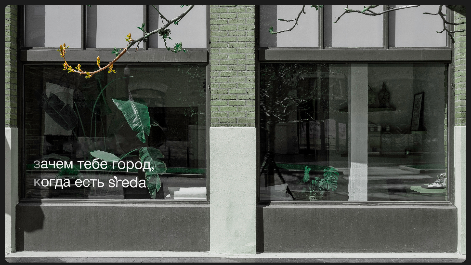 Sreda — приложение для исследования флоры — Изображение №10 — Интерфейсы, Брендинг на Dprofile