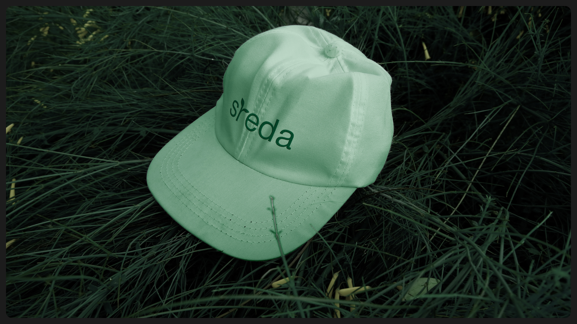 Sreda — приложение для исследования флоры — Изображение №9 — Интерфейсы, Брендинг на Dprofile