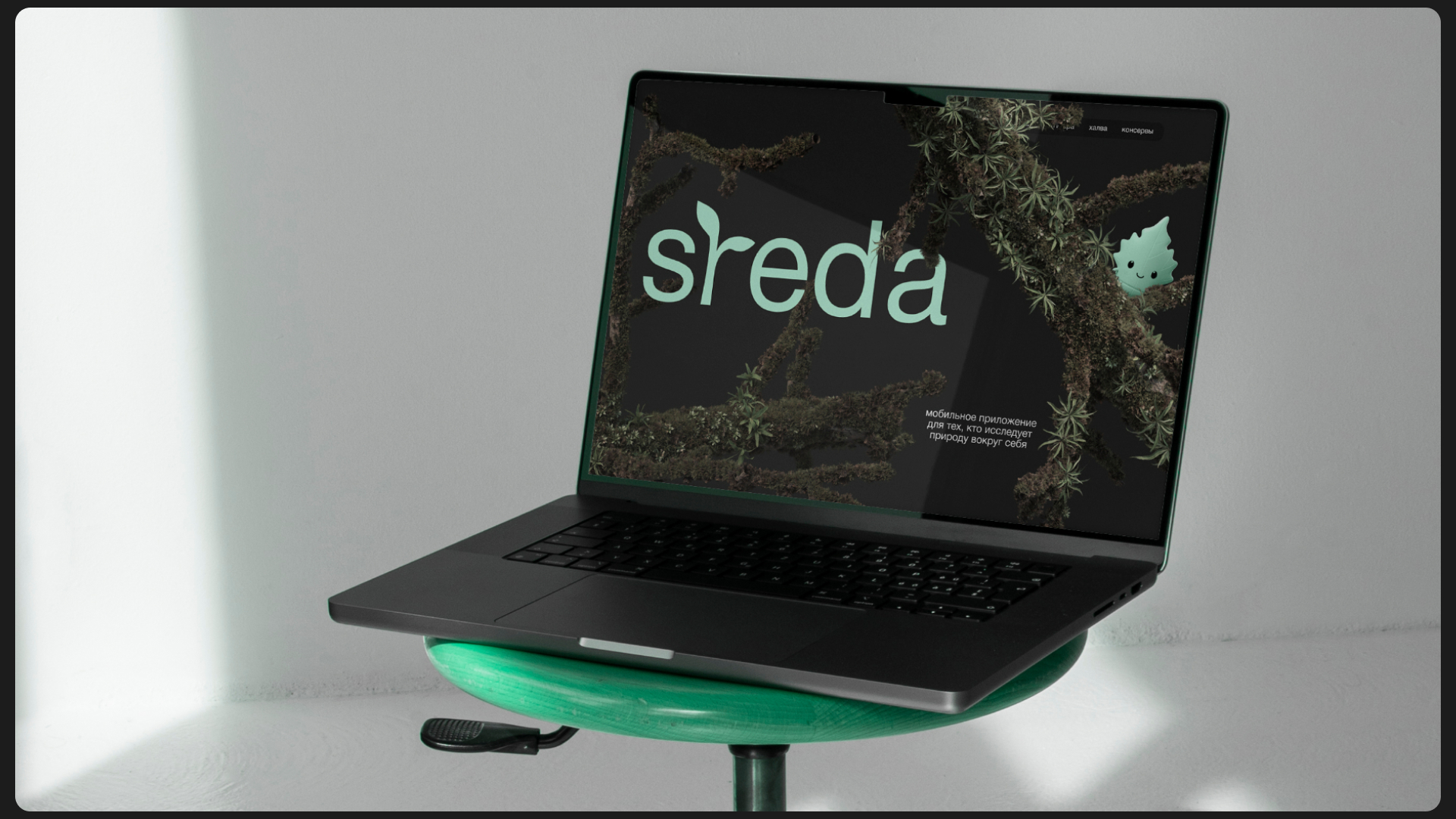 Sreda — приложение для исследования флоры — Изображение №15 — Интерфейсы, Брендинг на Dprofile