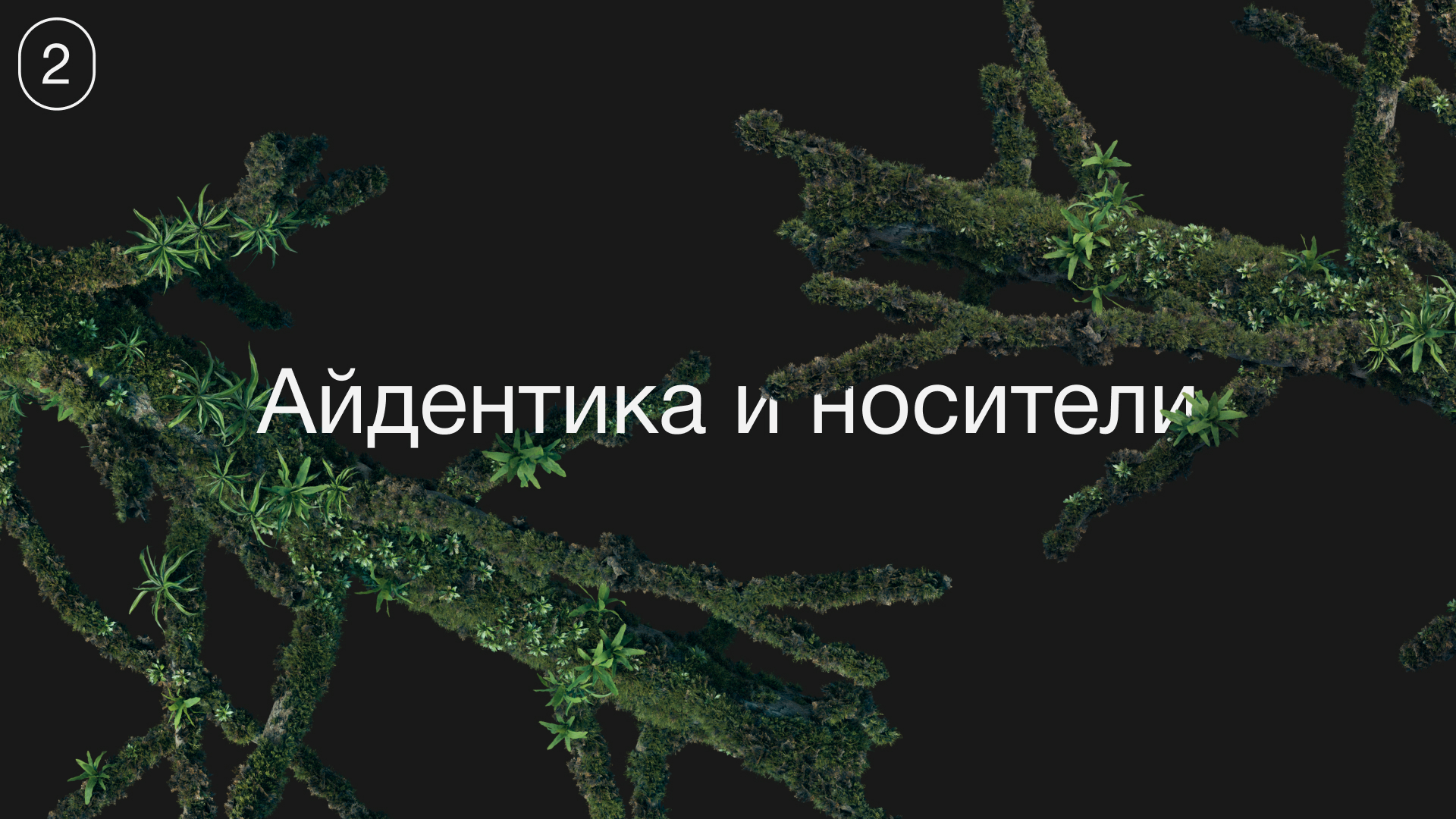 Sreda — приложение для исследования флоры — Изображение №7 — Интерфейсы, Брендинг на Dprofile