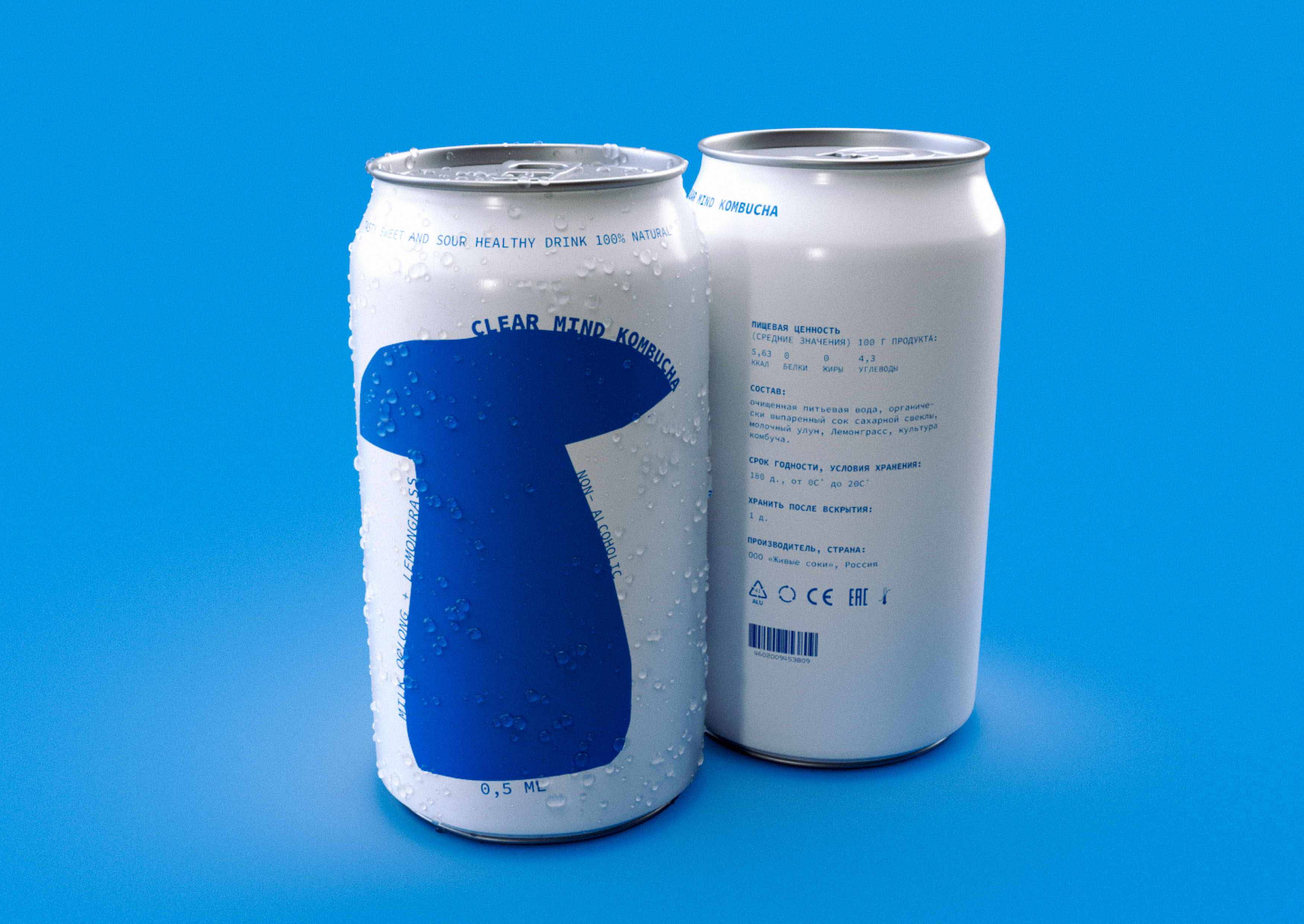 kombucha | clear mind | packaging and branding — Изображение №6 — Брендинг на Dprofile