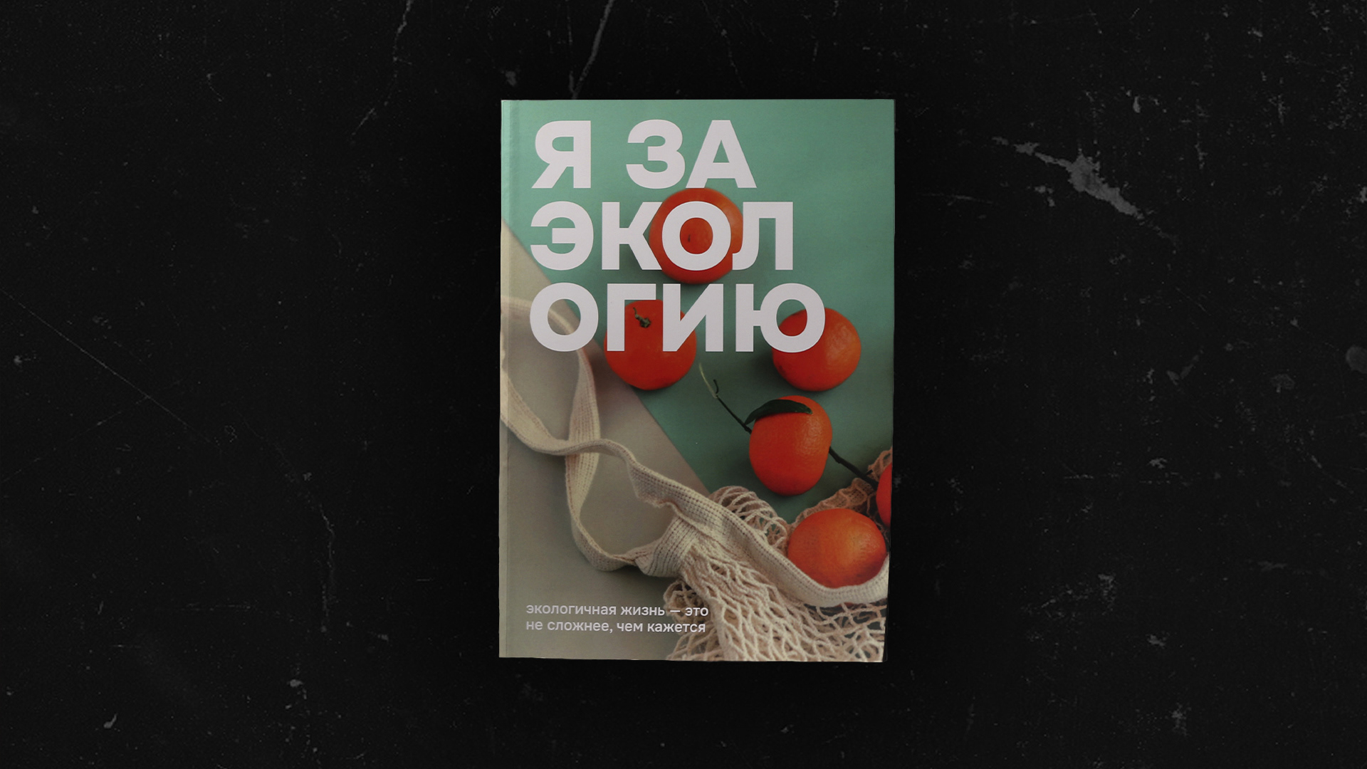 Я за экологию. Дипломный проект — Изображение №1 — Графика на Dprofile